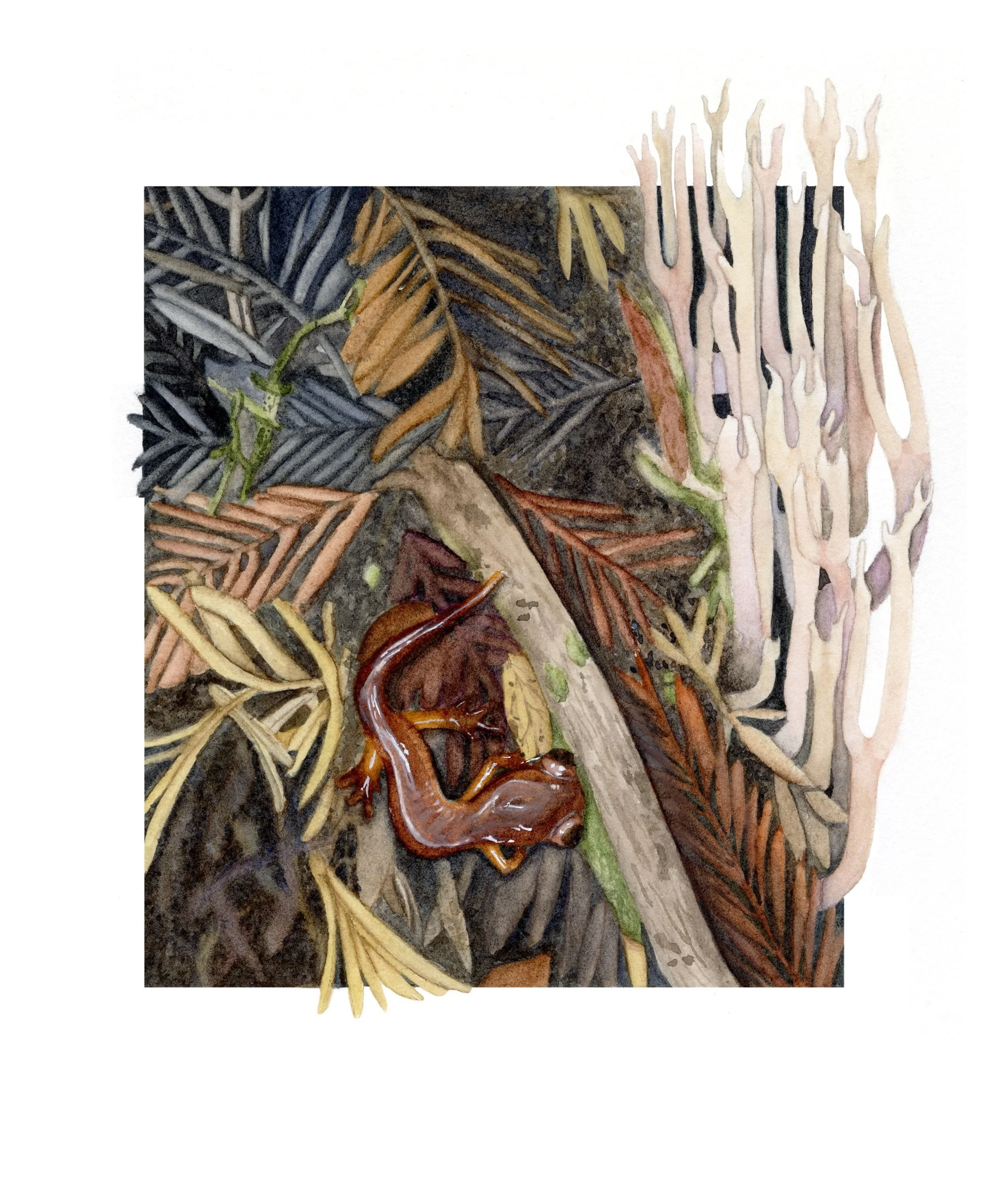 Forest Floor, watercolor, 2022.