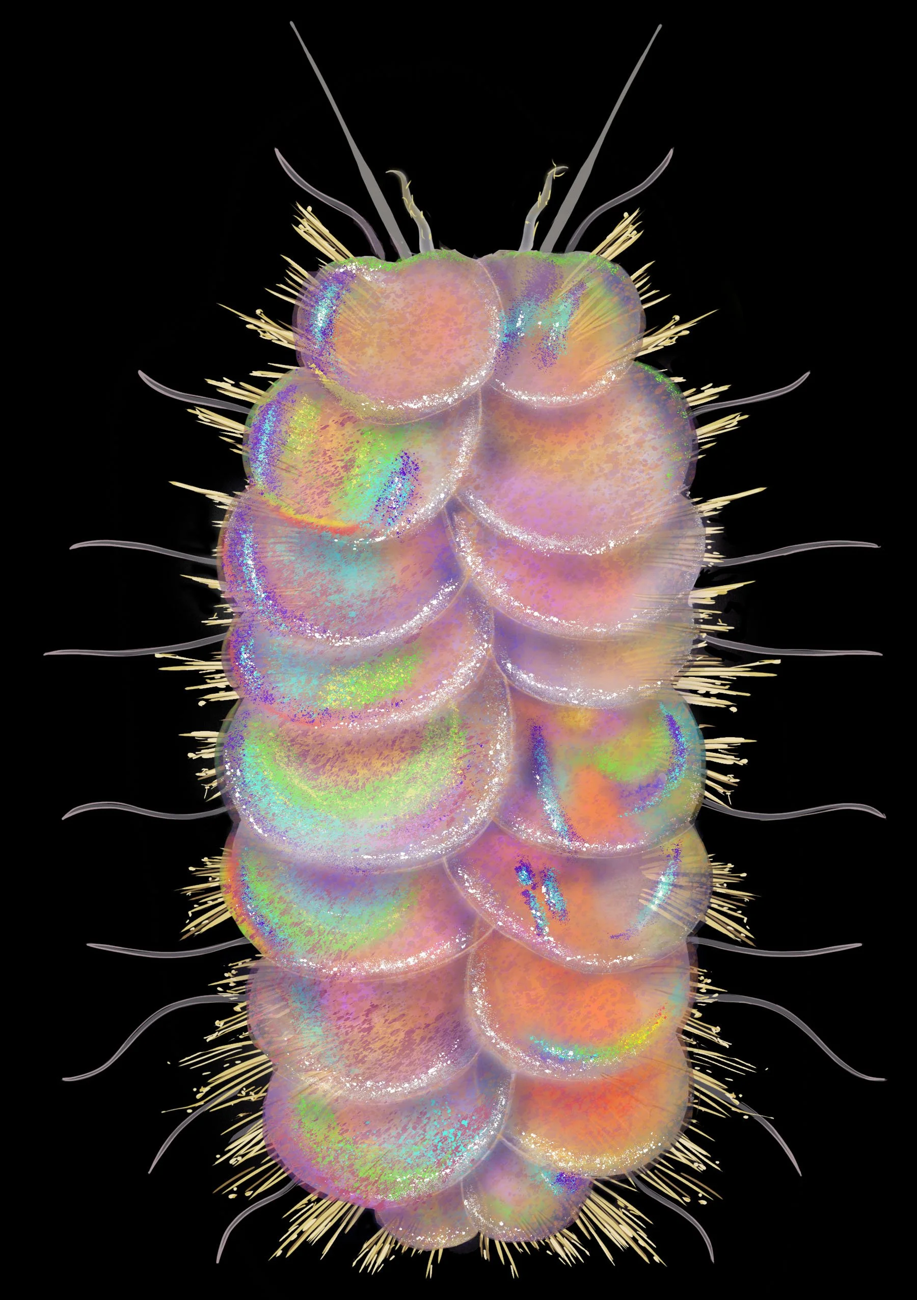 P. elvisi, digital painting.
