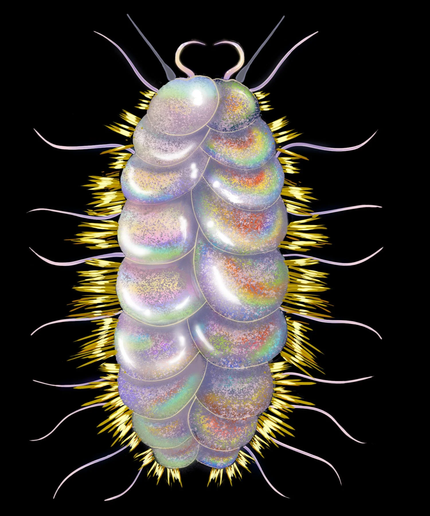 P. goffrediae, digital painting.
