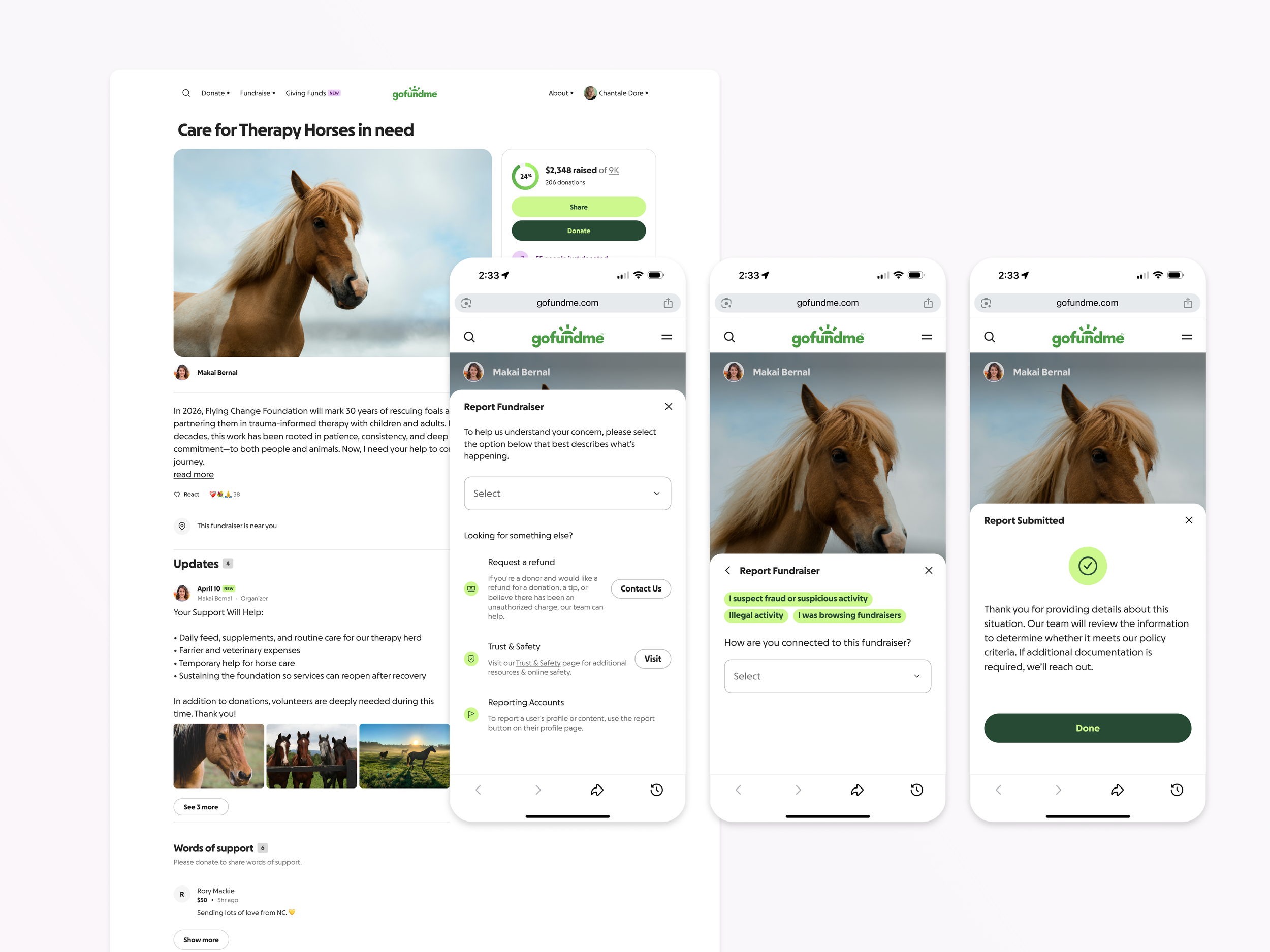 Balancing GoFundMe Community Voice and Platform Integrity