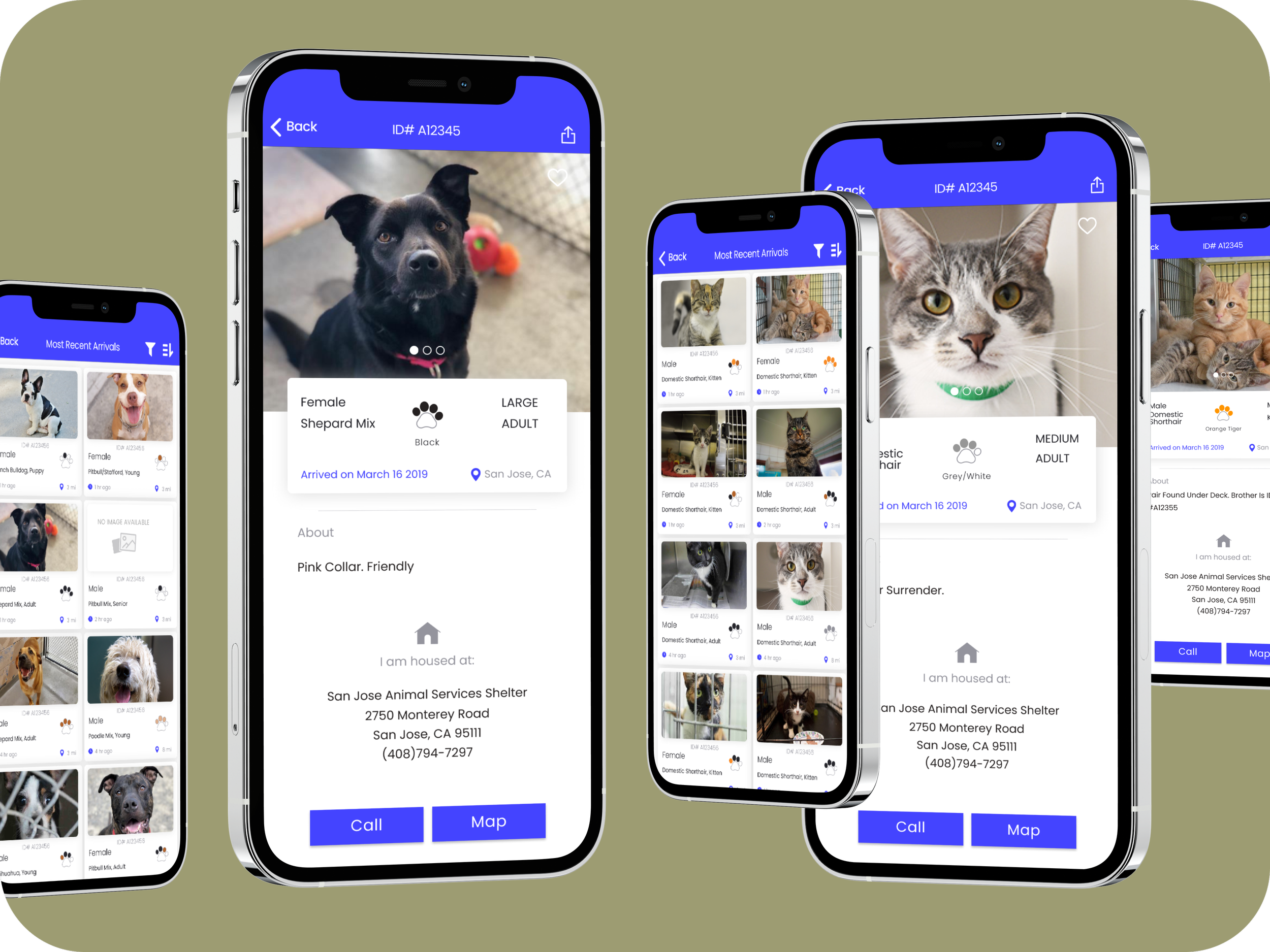 Improve the ability to find your lost pet