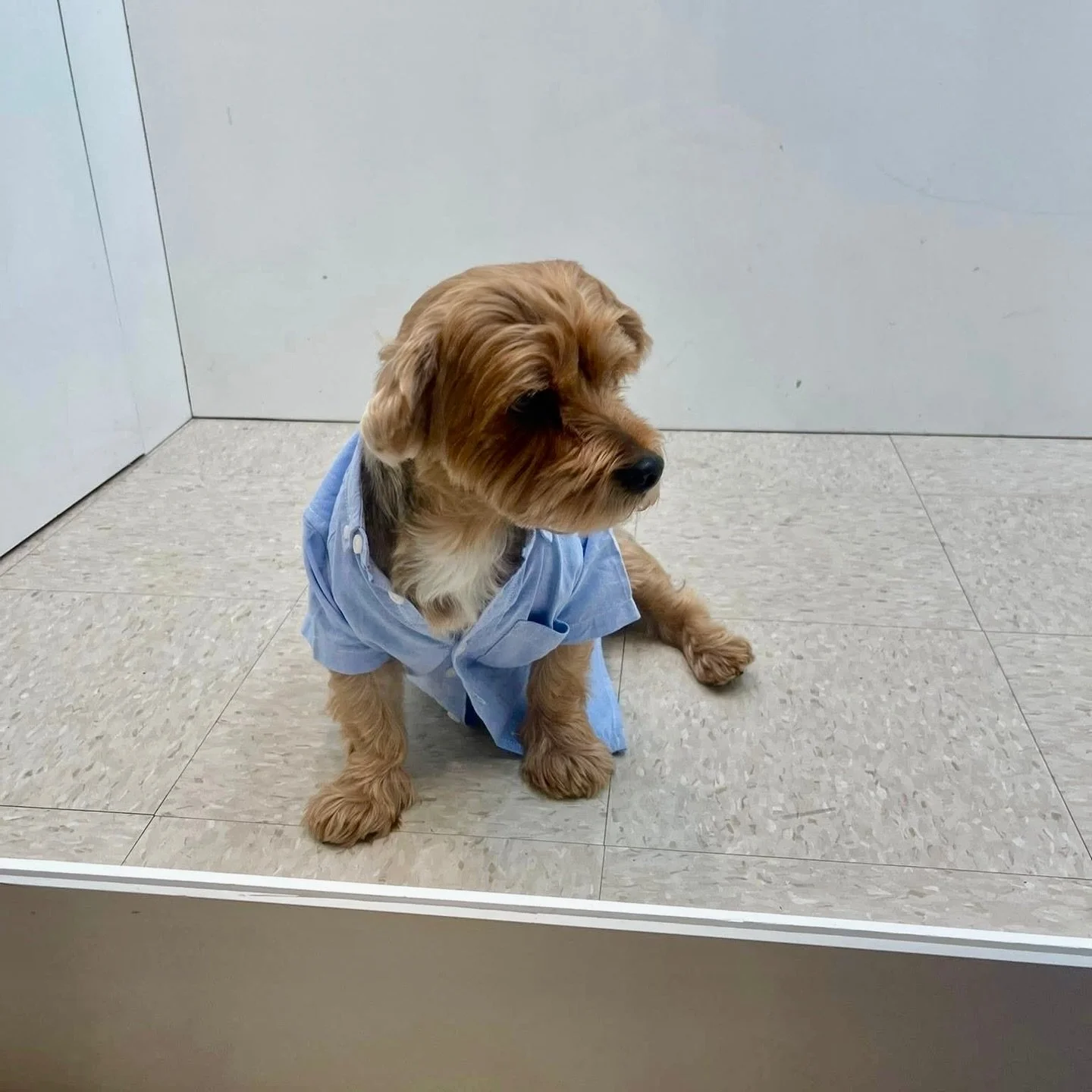 A Heaven Sent Celebration for Baby Boy Bryson ☁️💙Ashley&rsquo;s Heaven Sent Baby Shower

Because welcoming a new life deserves a celebration as beautiful as the journey into motherhood.

A beautiful afternoon celebrating the upcoming arrival of swee