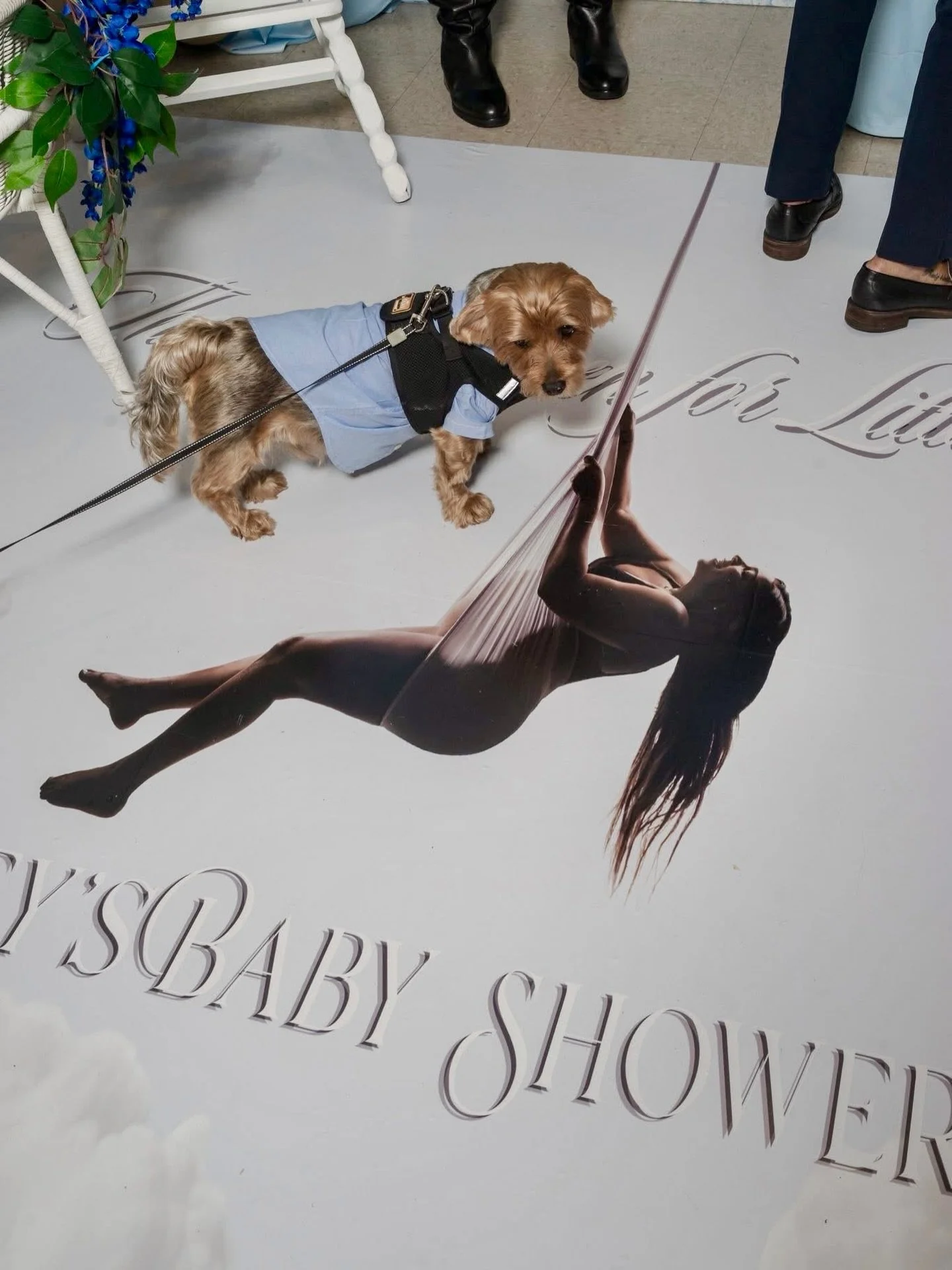 A Heaven Sent Celebration for Baby Boy Bryson ☁️💙Ashley&rsquo;s Heaven Sent Baby Shower

Because welcoming a new life deserves a celebration as beautiful as the journey into motherhood.

A beautiful afternoon celebrating the upcoming arrival of swee