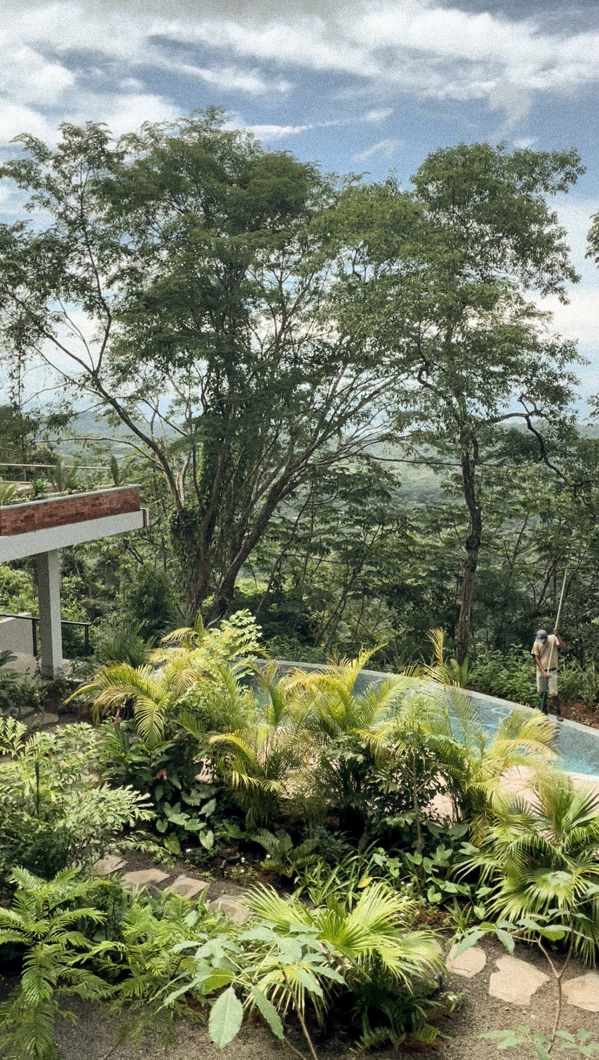 Photo 1-11-22, 3 25 07 PM.jpg