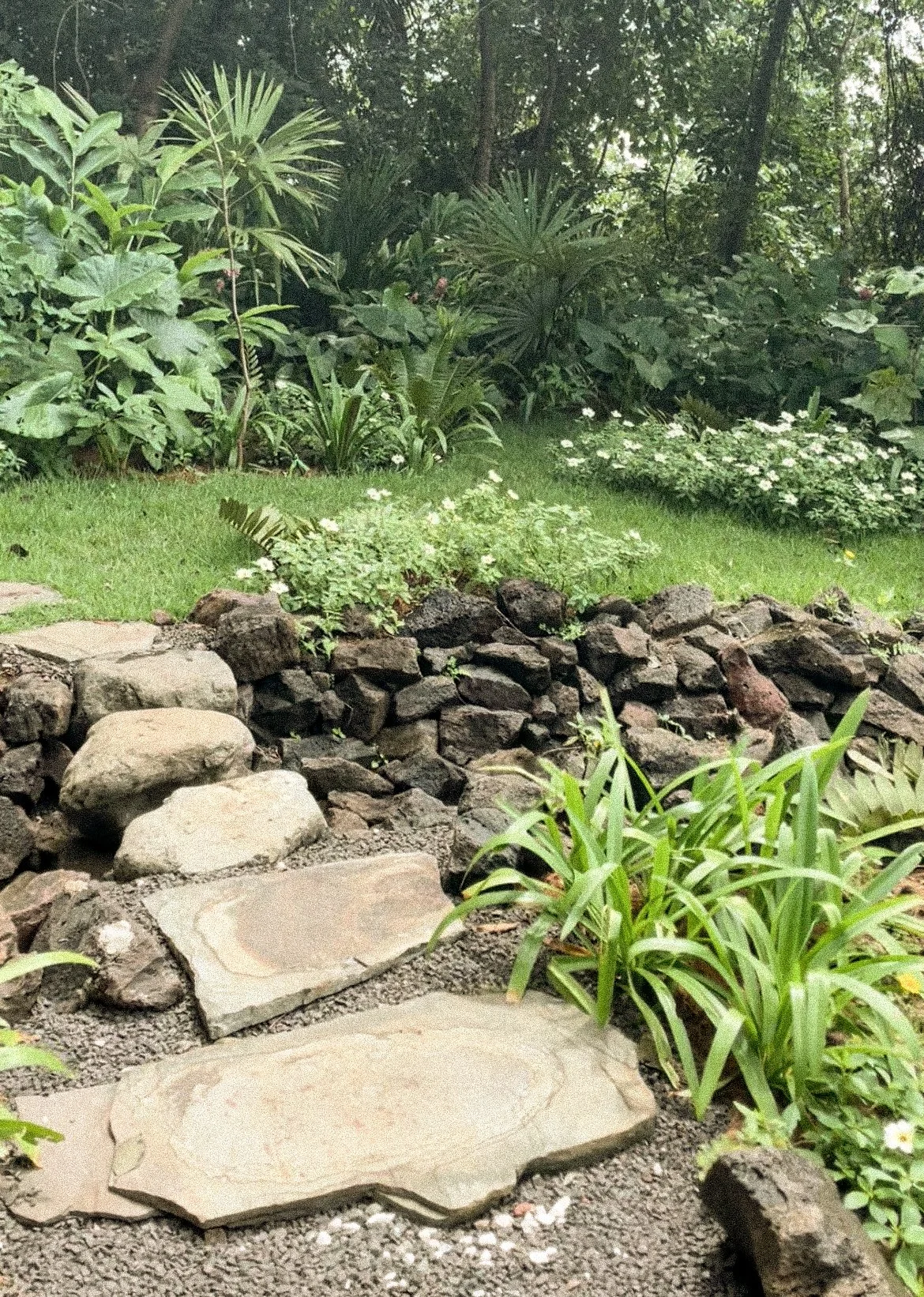 Photo 1-11-22, 3 30 11 PM.jpg