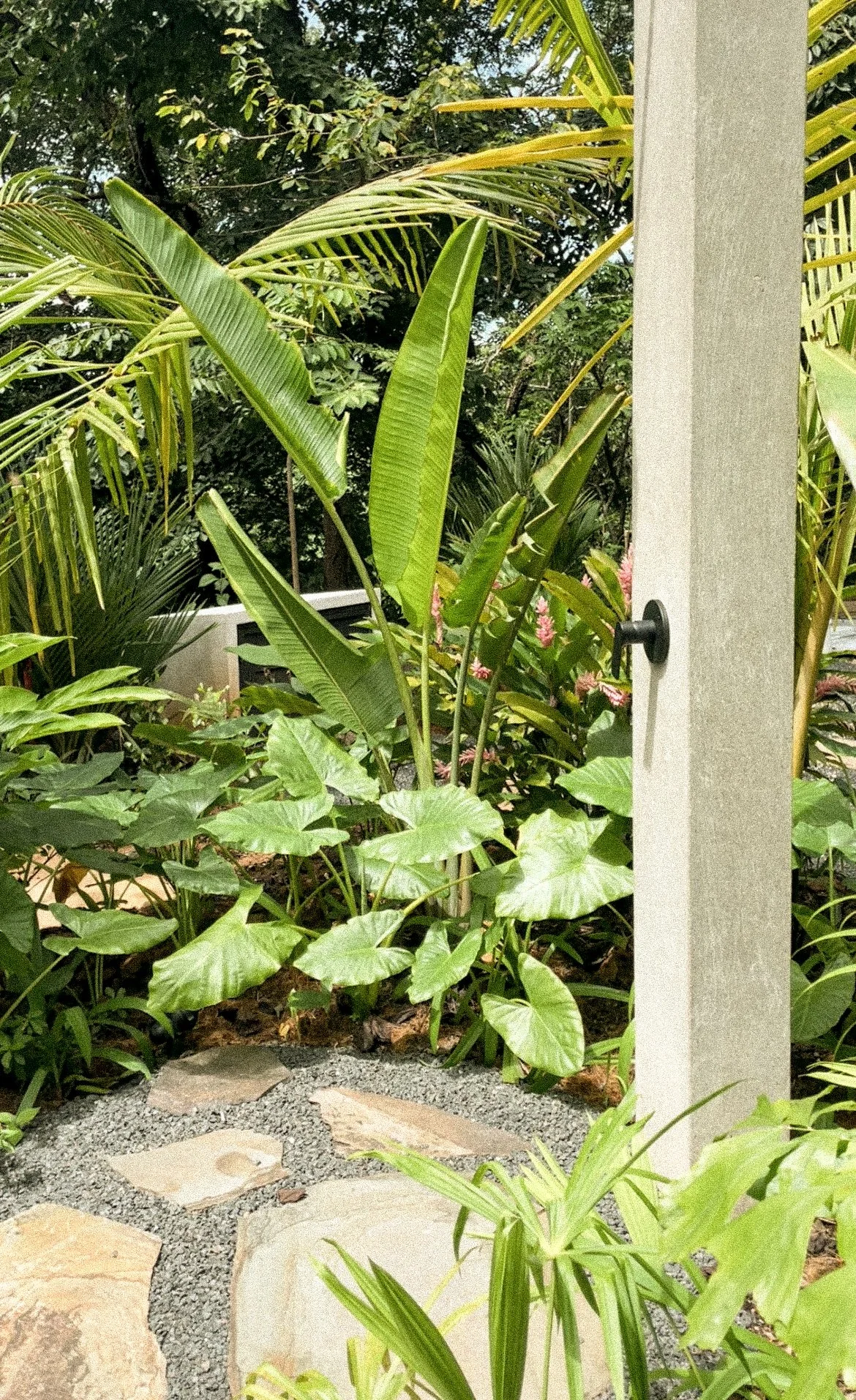 Photo 1-11-22, 3 31 55 PM.jpg