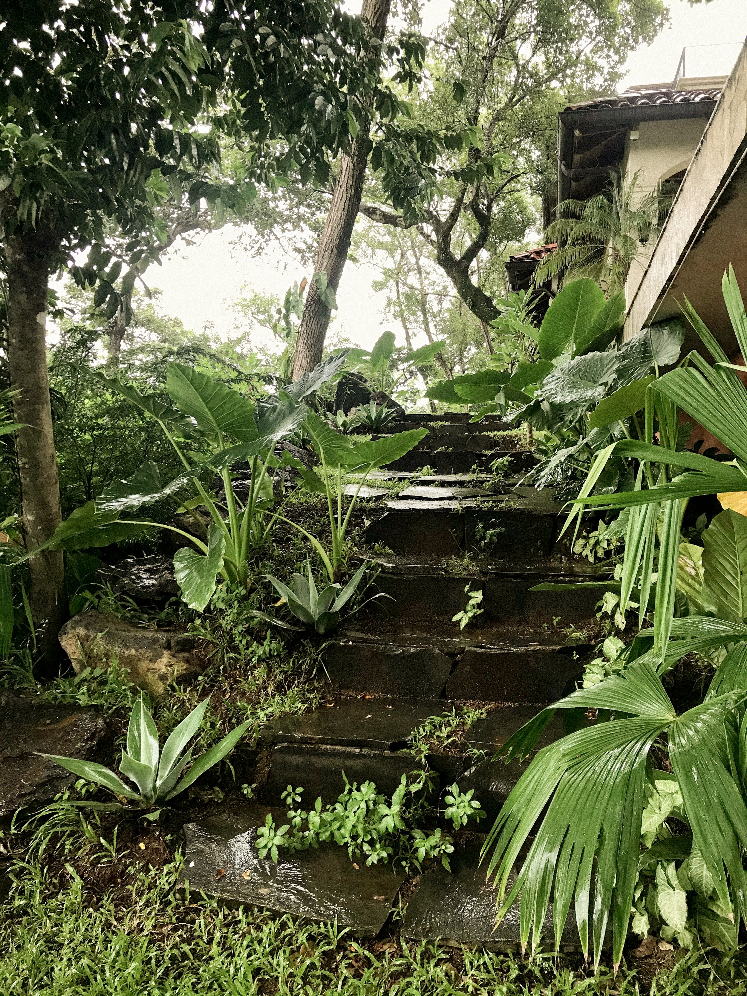 Photo 13-8-21, 3 48 50 PM.jpg