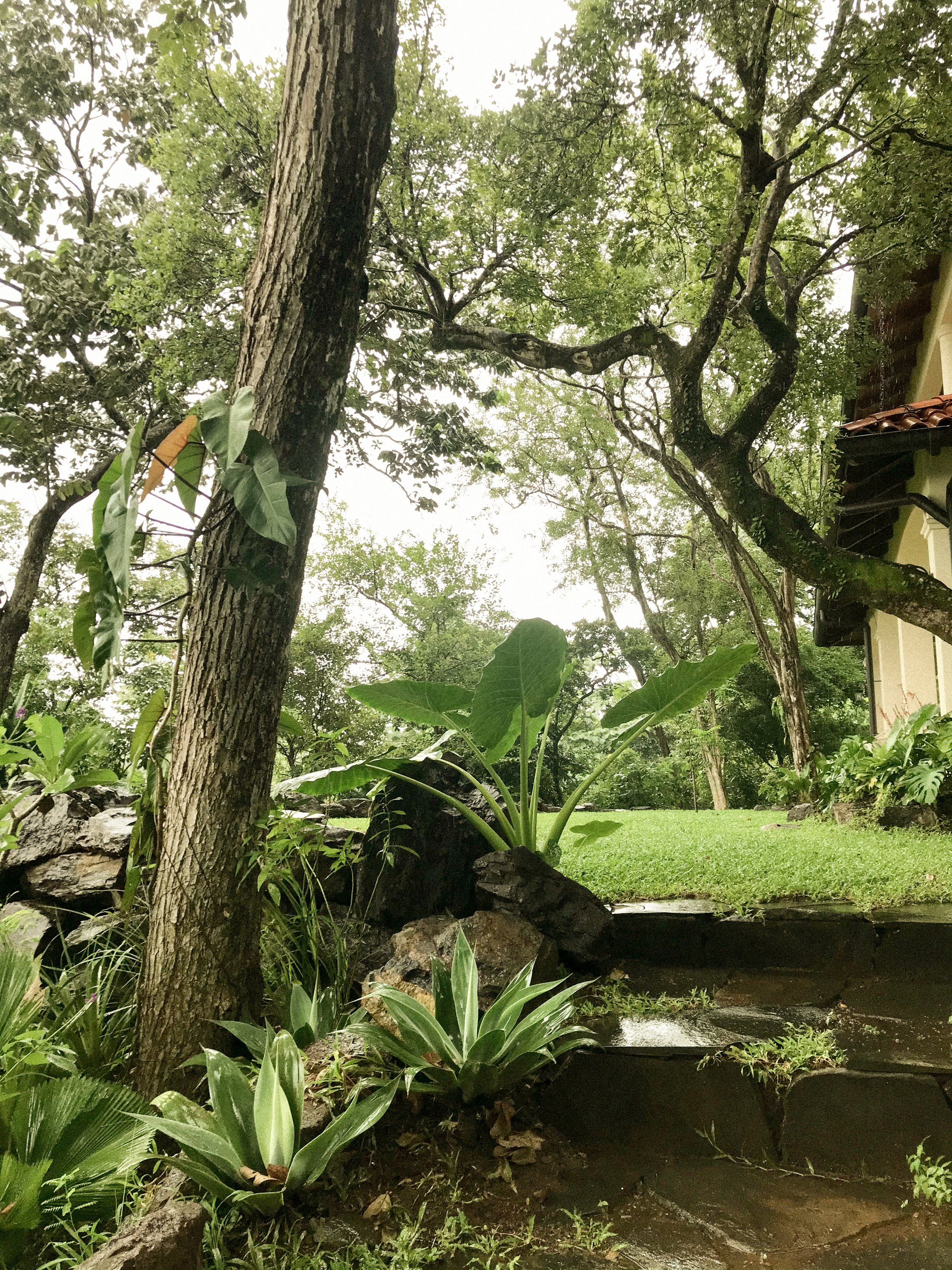 Photo 13-8-21, 3 48 22 PM.jpg