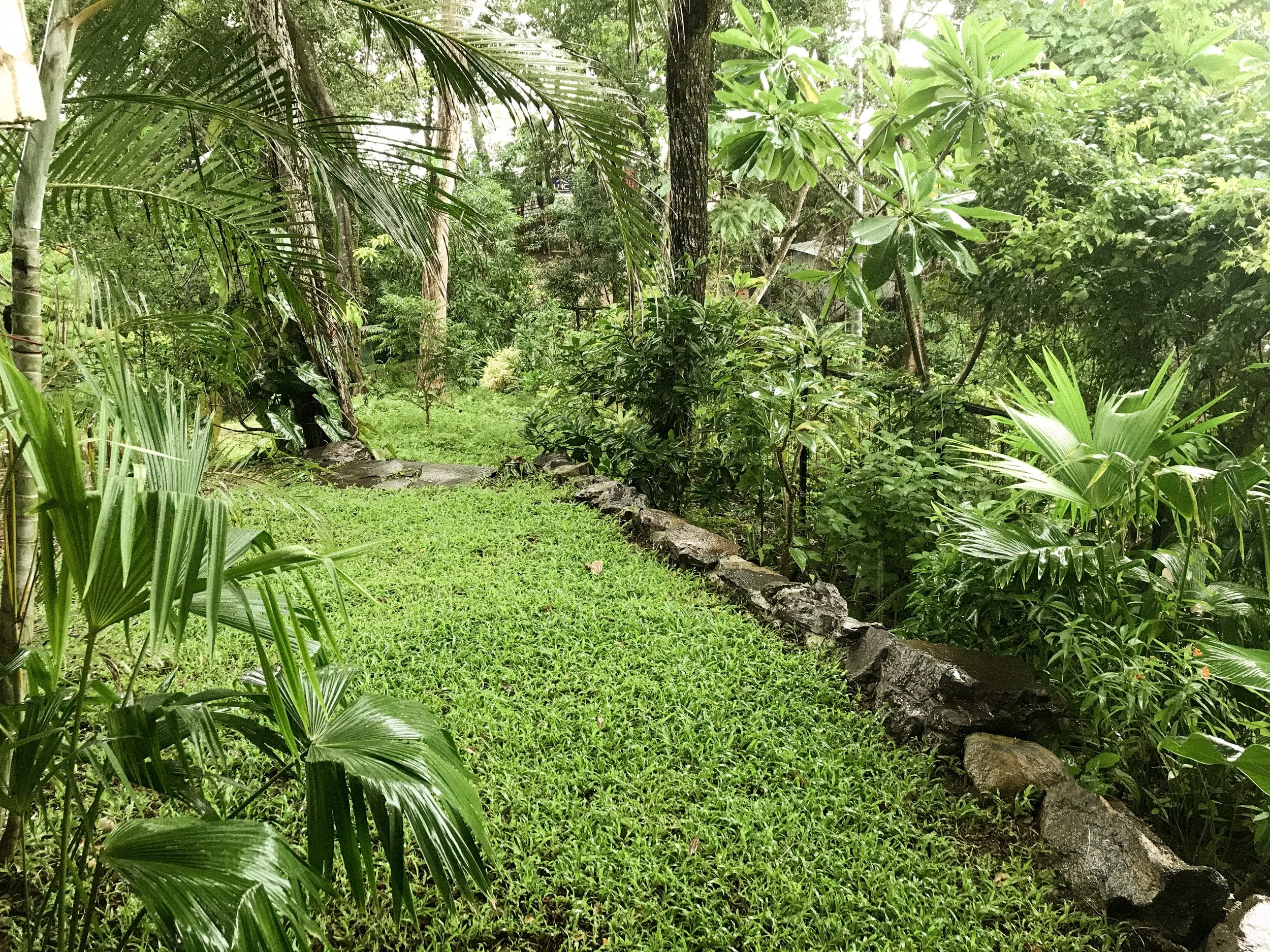 Photo 13-8-21, 3 48 35 PM.jpg