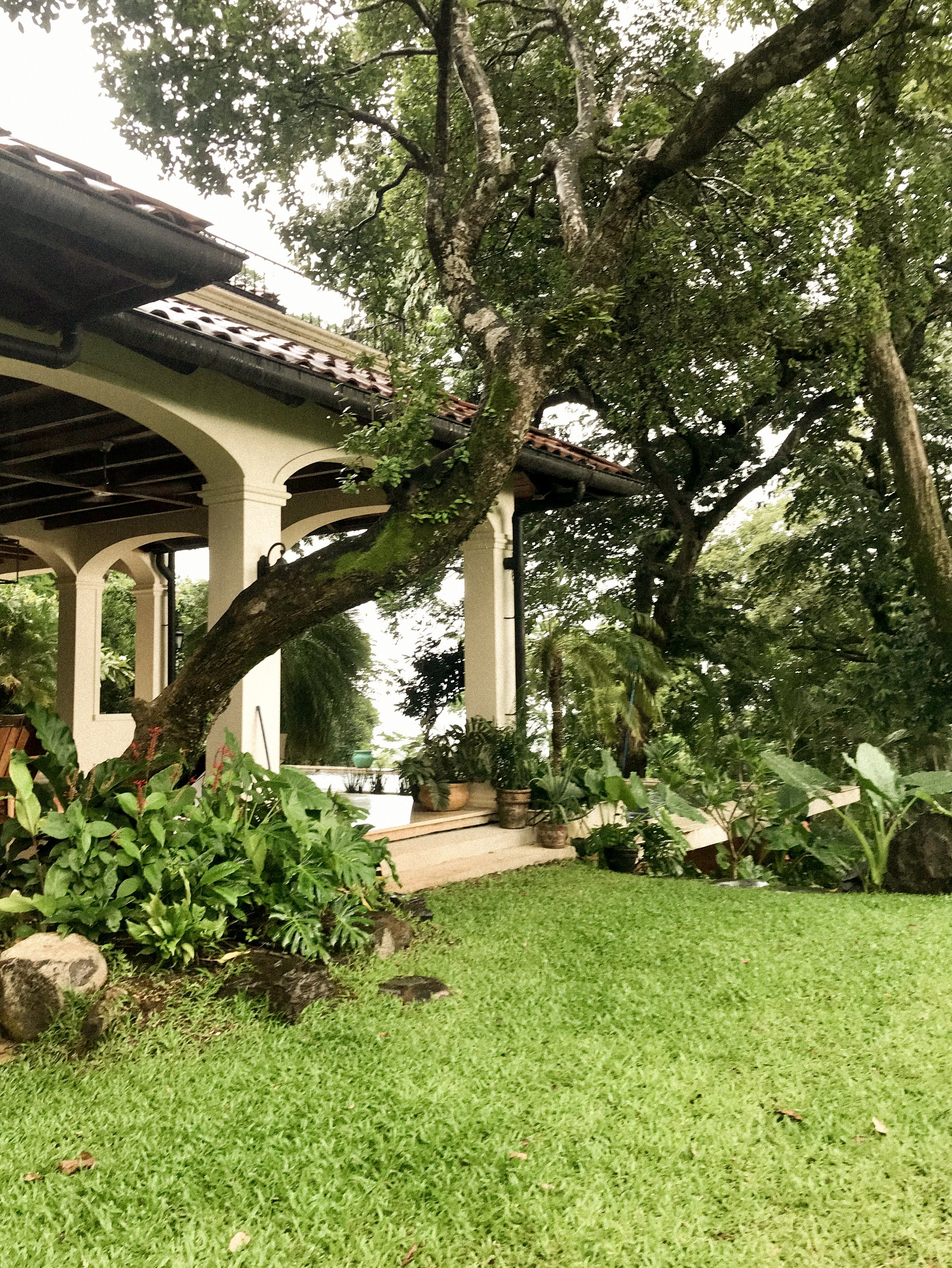 Photo 13-8-21, 3 47 27 PM.jpg