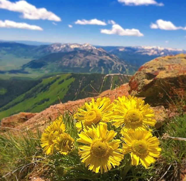 DeGette Proposes New Lands Under Protection