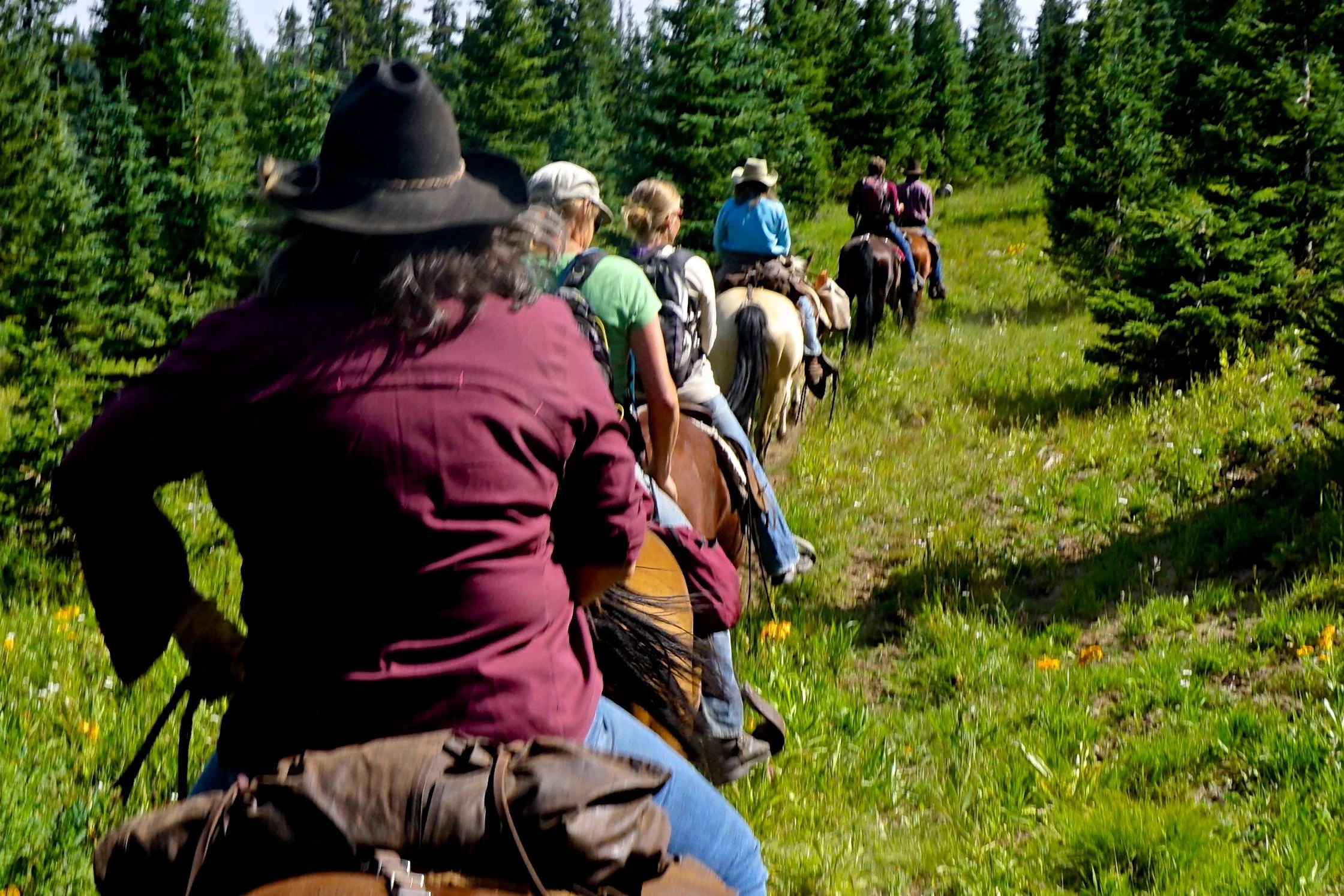 Different Interests, Same Love for the Land 