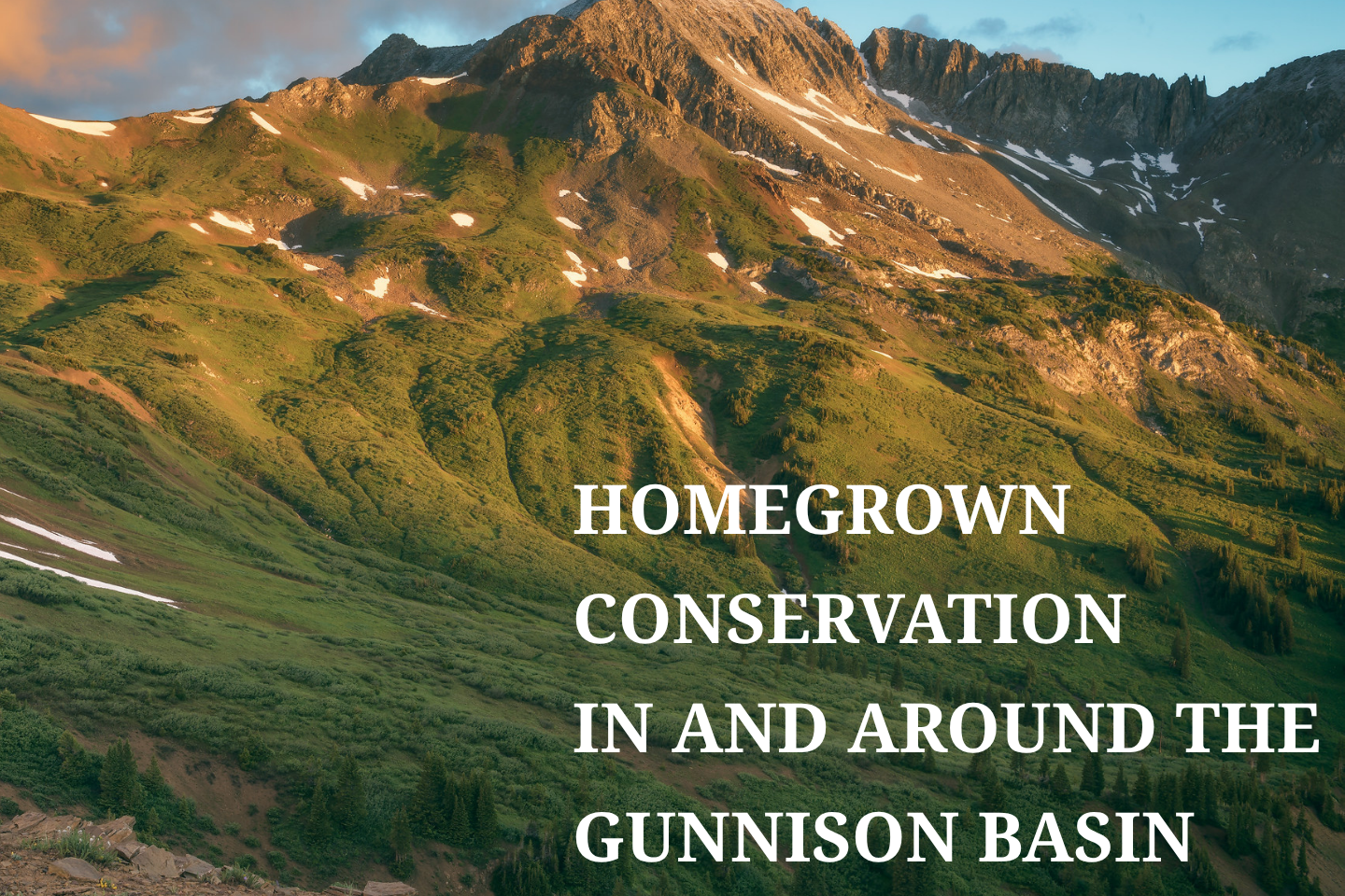 Good for Business: Growing Support for GORP Act