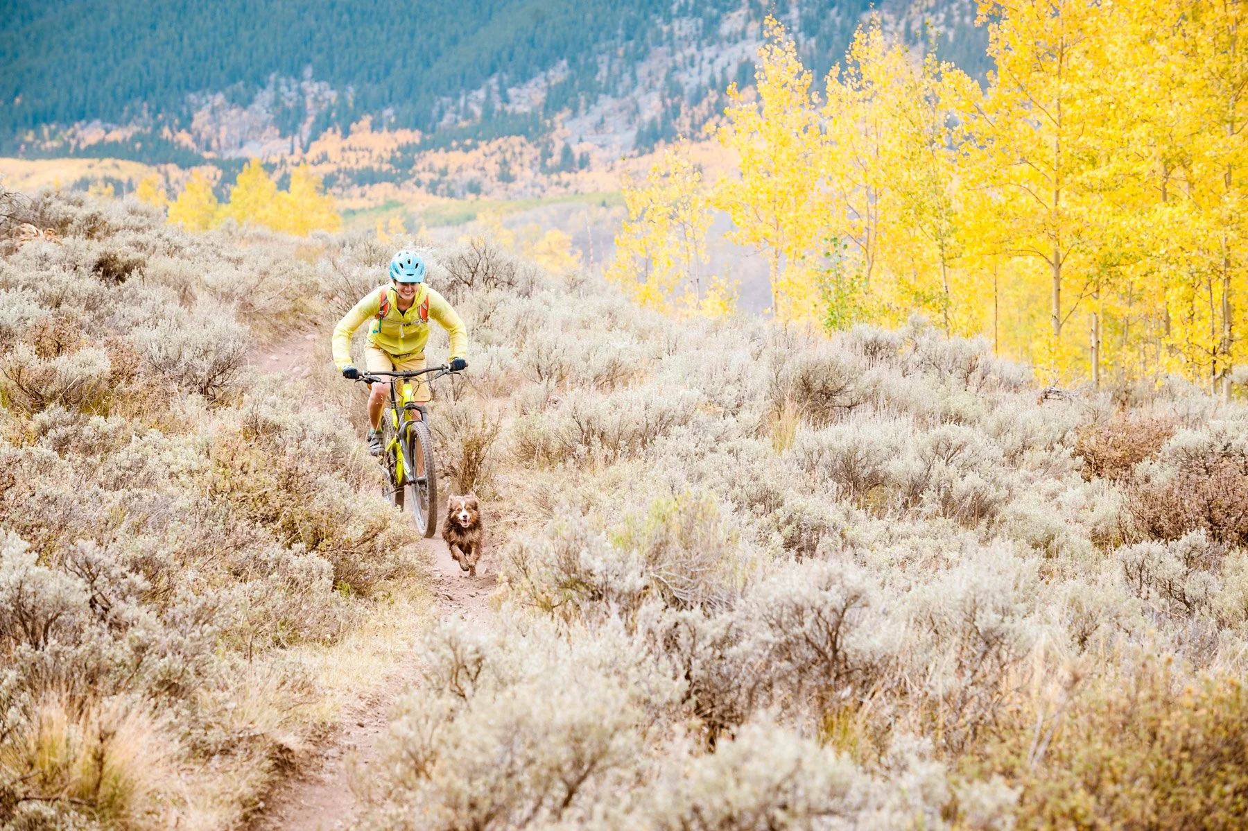 PetarDopchev_mtb_ferris_trail.jpg