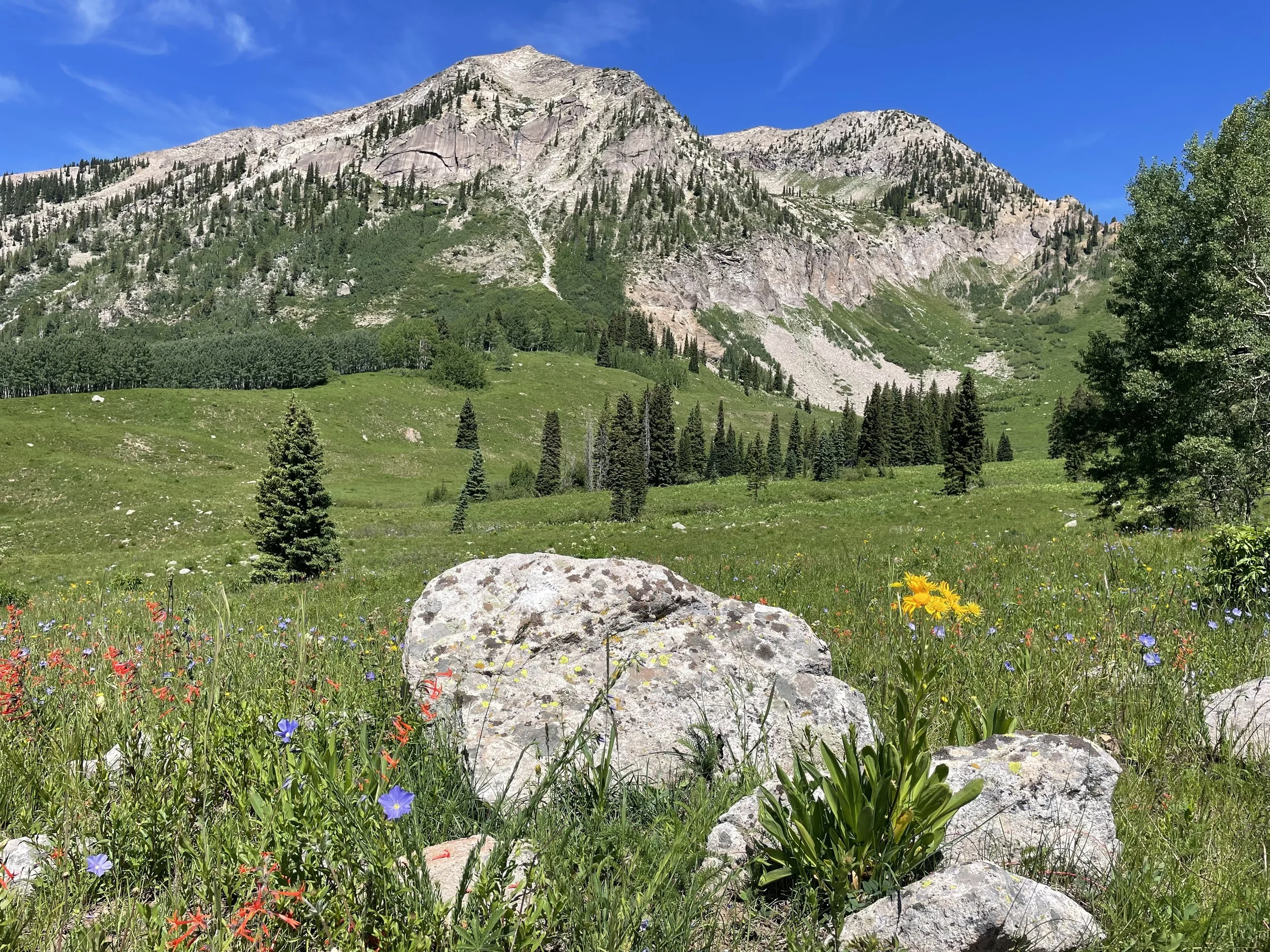 Julie Sapena, Beckwith Pass