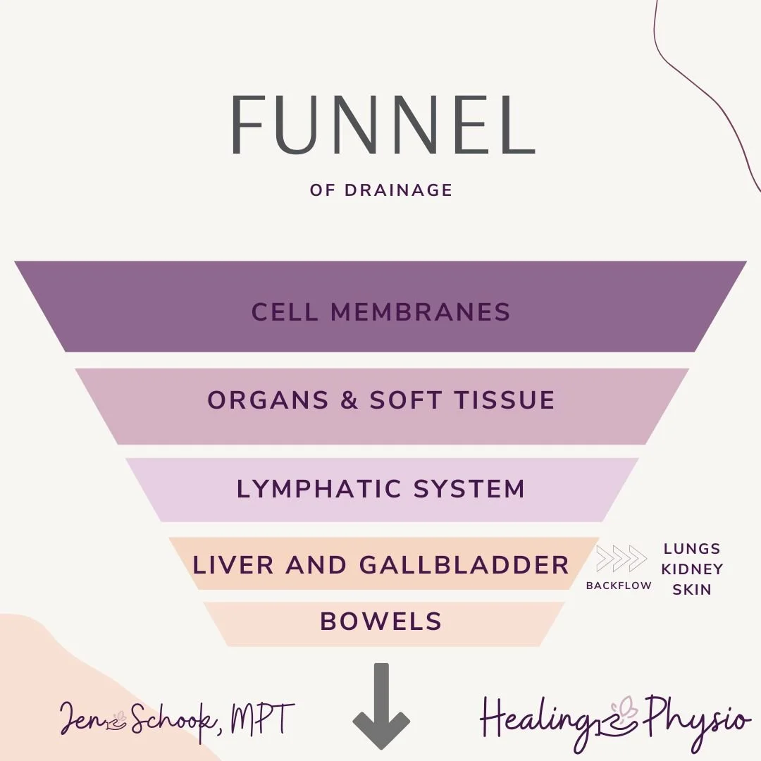 Drainage Pathways Made Simple — Jen Schook, Healing Physio