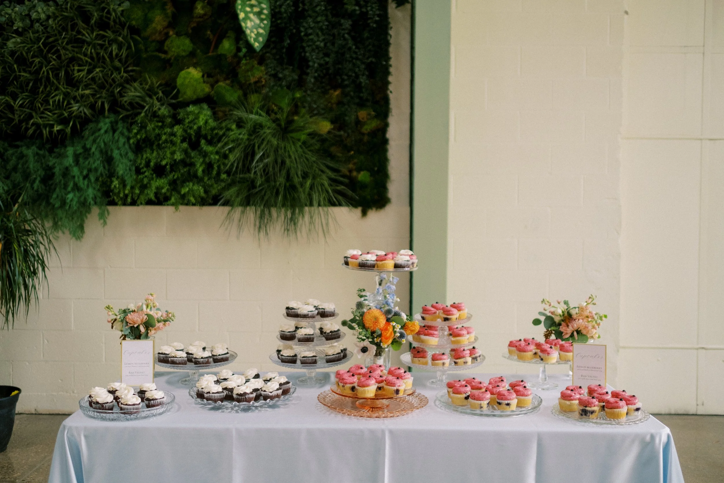 Photographer Name Here