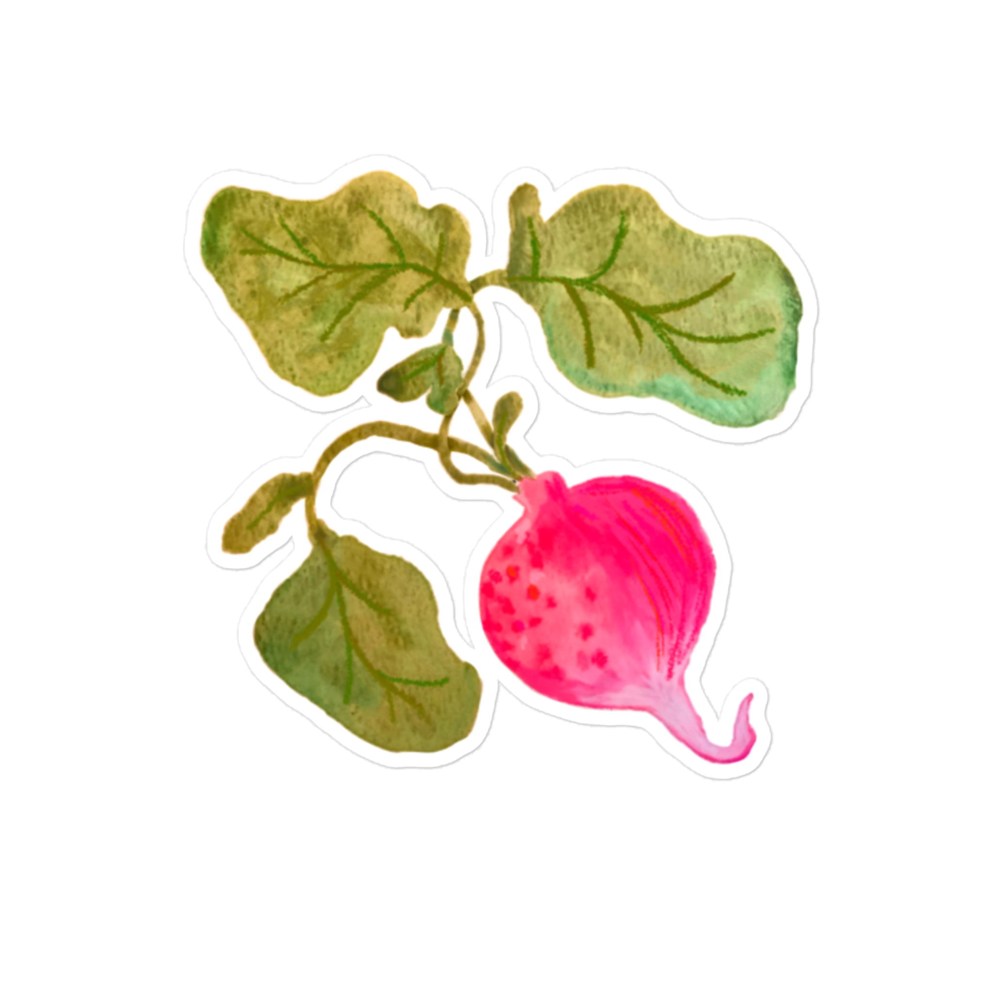 Radish Sticker