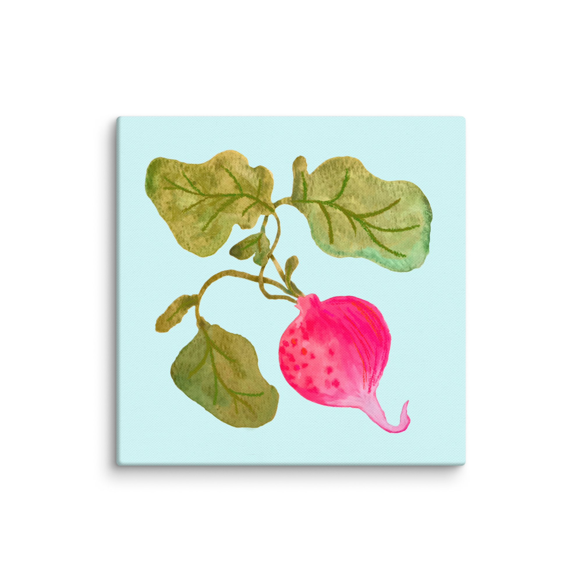 ‘The Radish’ Canvas Print