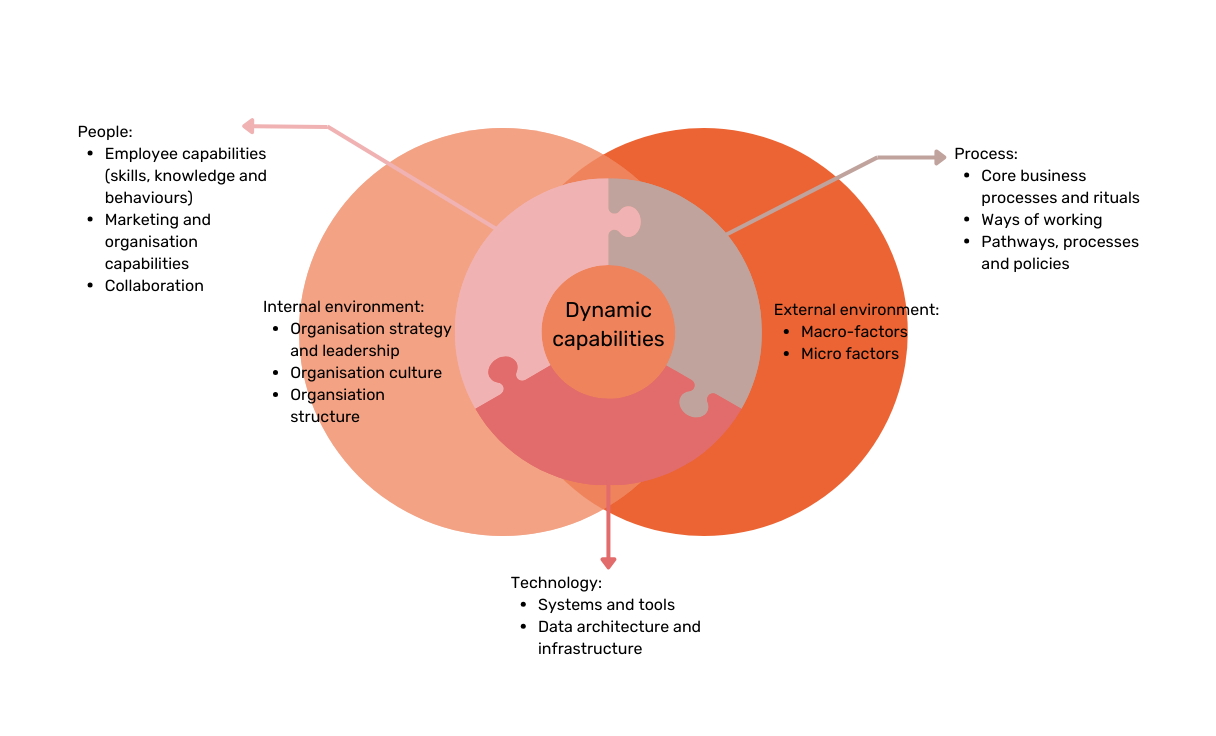 Ven diagram to show the overlap between people, process, technology and internal and external environment when creating dyanmic capabilities