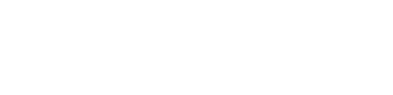 Te Tari Consultants