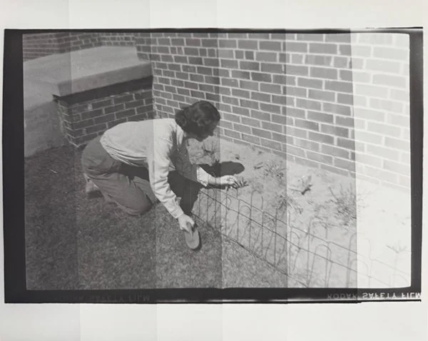 WoodReb_WoolfOrlando200 copy.jpg