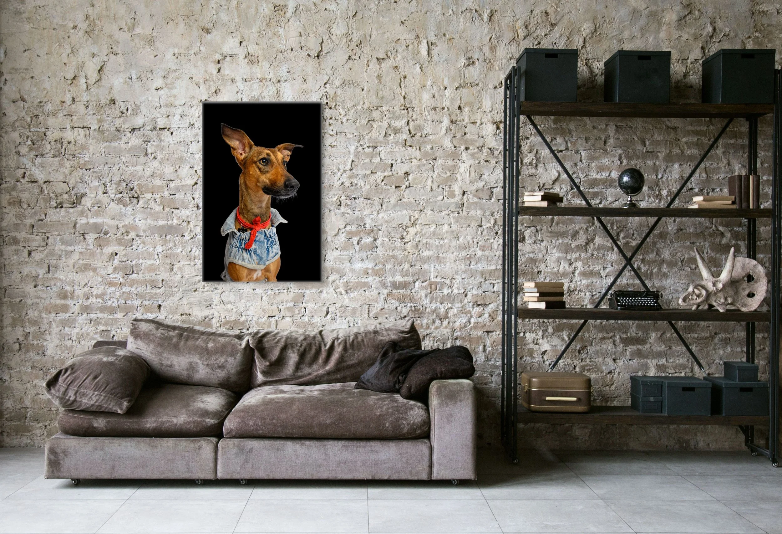 Luxury pet portrait of Josie displayed as large format wall art in a modern living room by Zion Designs Photography