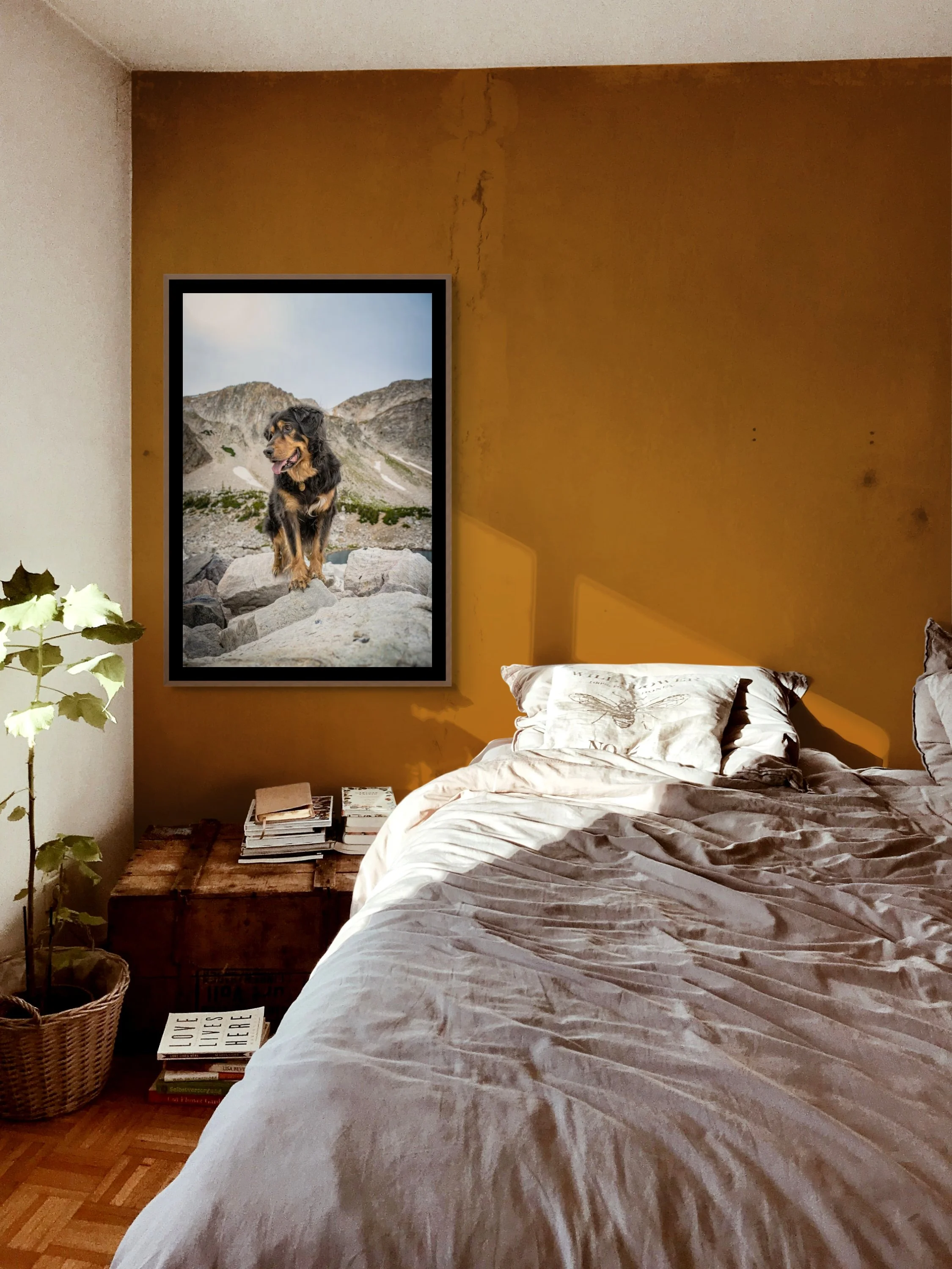 Luxury pet portrait of Zion, a Hovawart, displayed as framed wall art in a bedroom by Zion Designs Photography