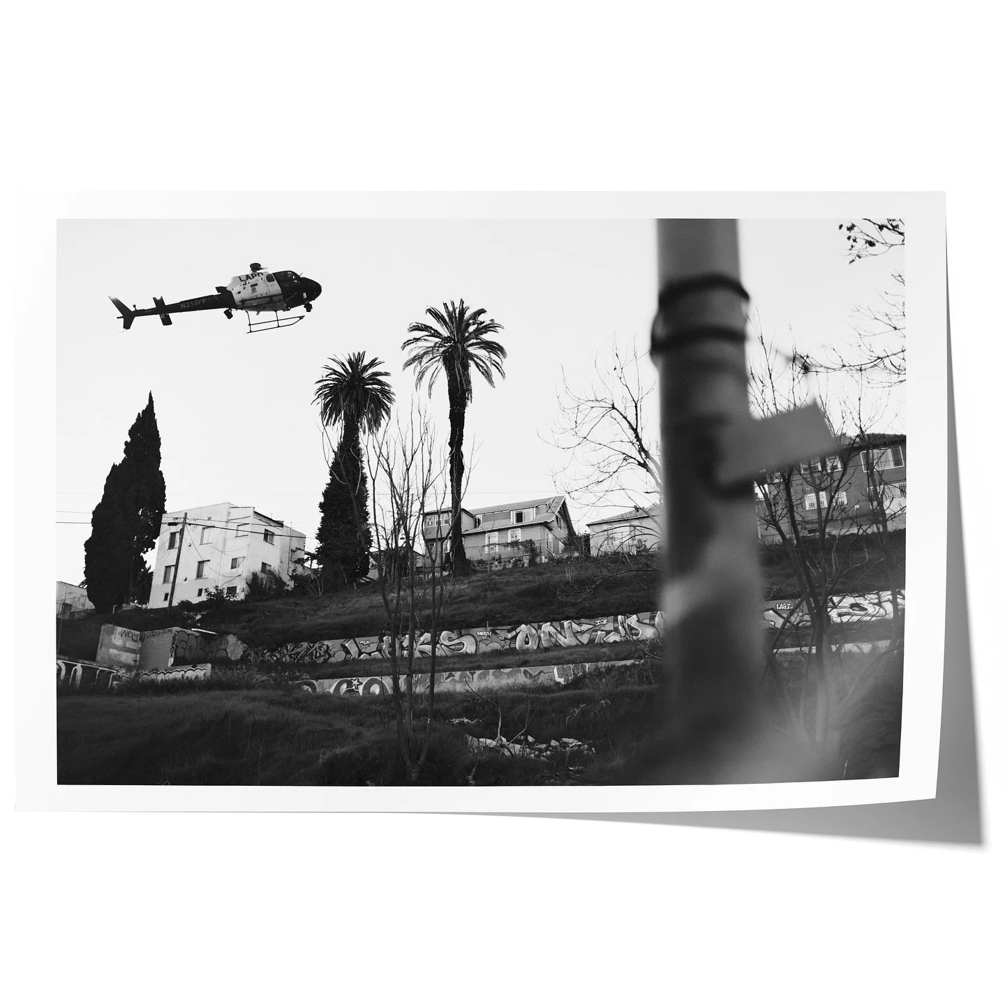 New print release :
&ldquo;ghetto bird&rdquo; chromogenic print on Ilford argentic paper published by NSD51/50 studio

selection from @bricegelot collection : &ldquo;straight out the hood&rdquo; photograph made in Los Angeles, USA (2023)
limited edit