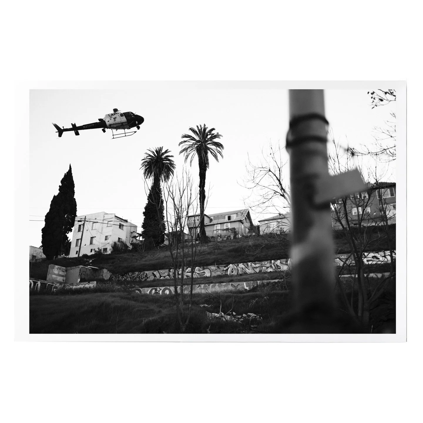 New print release :
&ldquo;ghetto bird&rdquo; chromogenic print on Ilford argentic paper published by NSD51/50 studio

selection from @bricegelot collection : &ldquo;straight out the hood&rdquo; photograph made in Los Angeles, USA (2023)
limited edit
