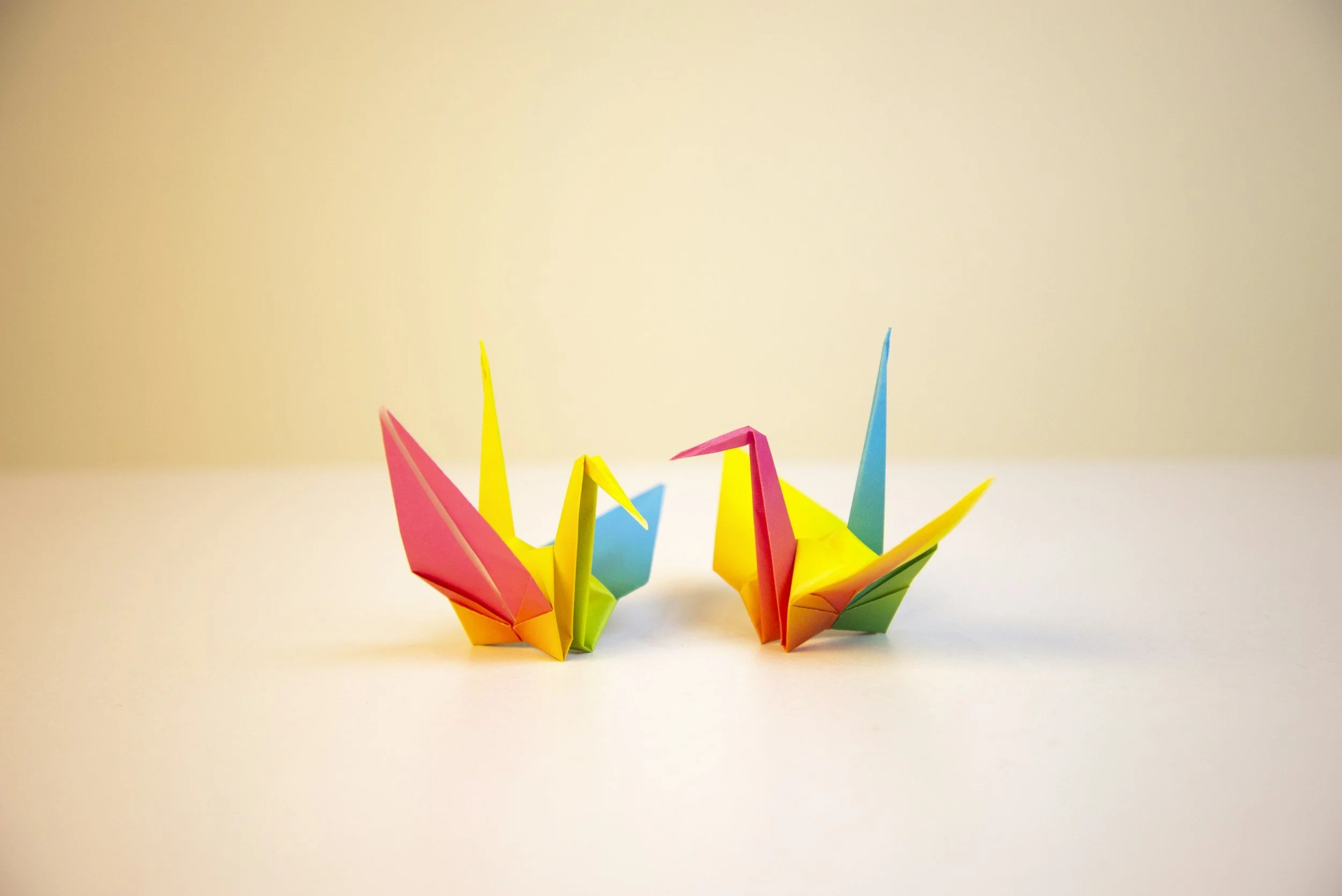 Origami – Japanese Paper Folding
