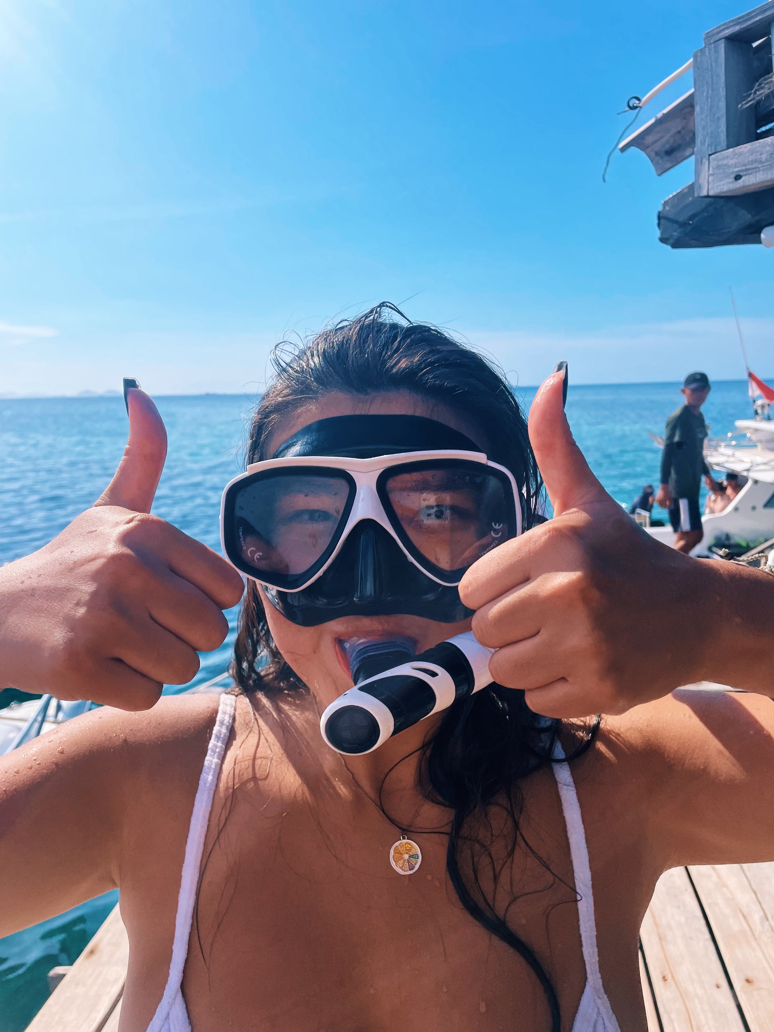 hey Alexa, play "under the sea" from the Little Mermaid!
