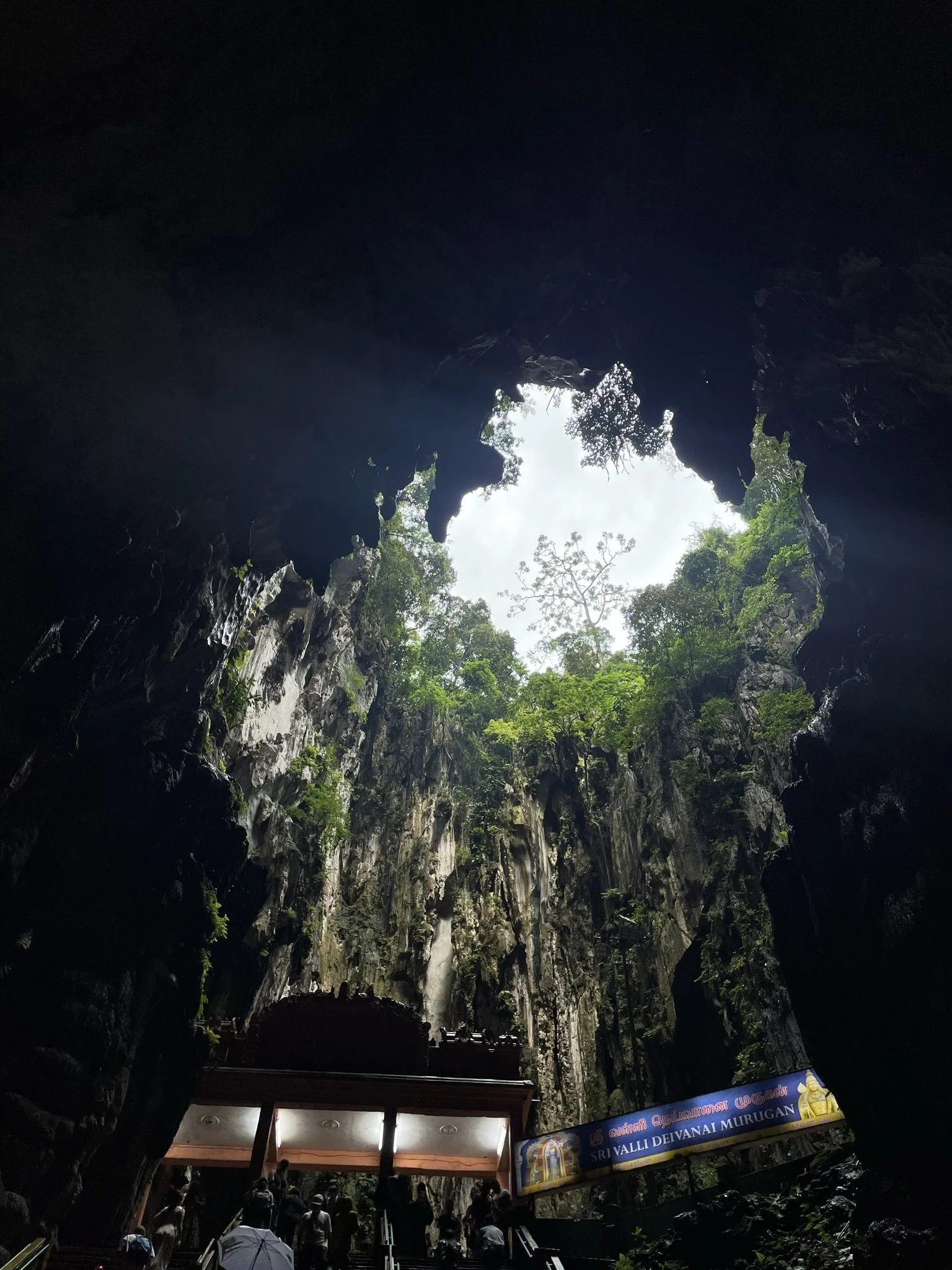 giving alan walker vibes.jpeg