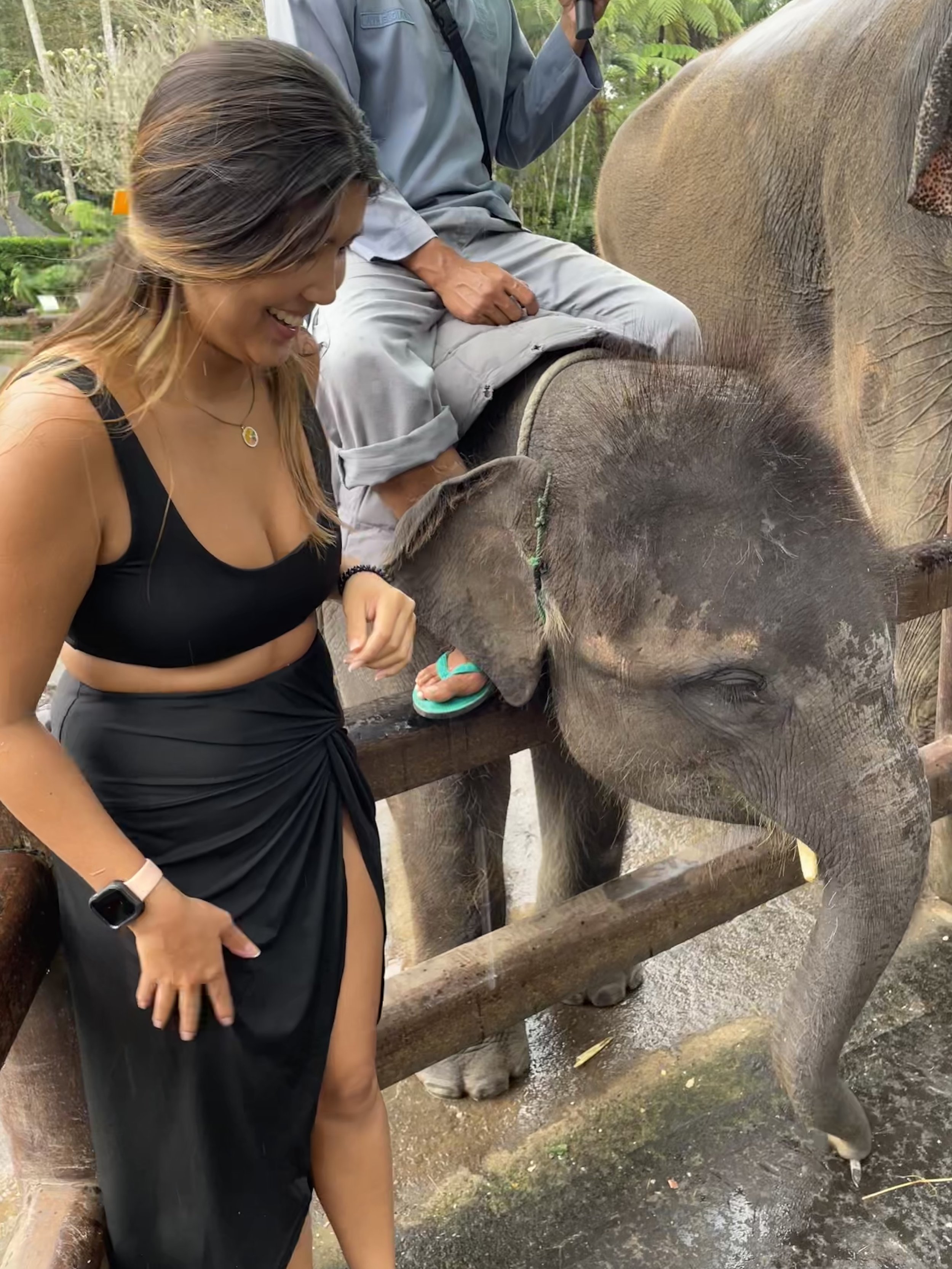 Baby Asian Elephant :)