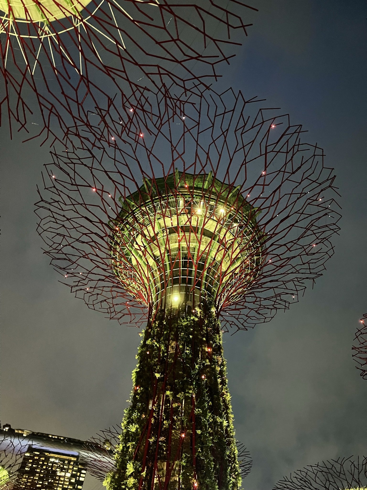 A Supertree from Supertree Grove