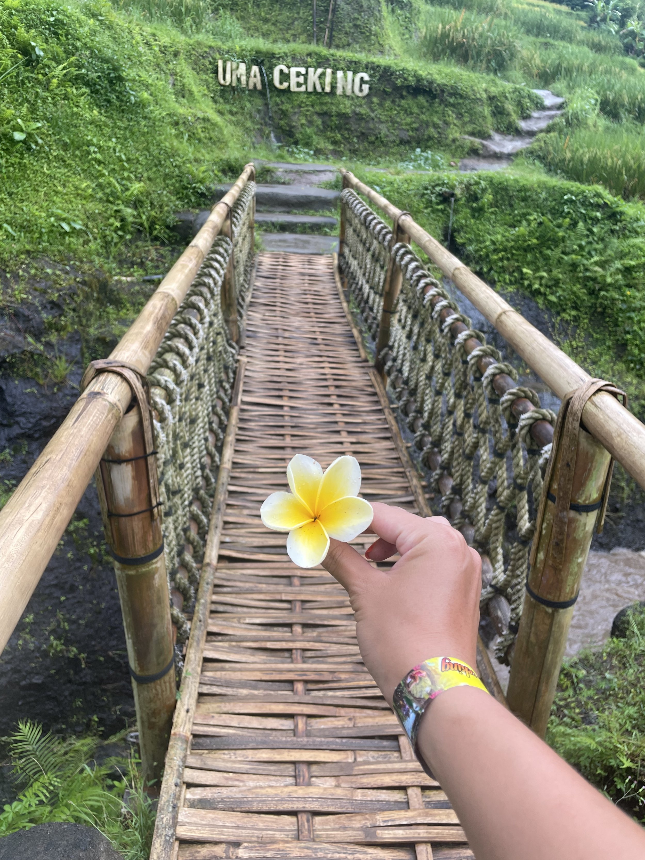 let's trek miles into the rice fields barefoot with our feet caked in mud!