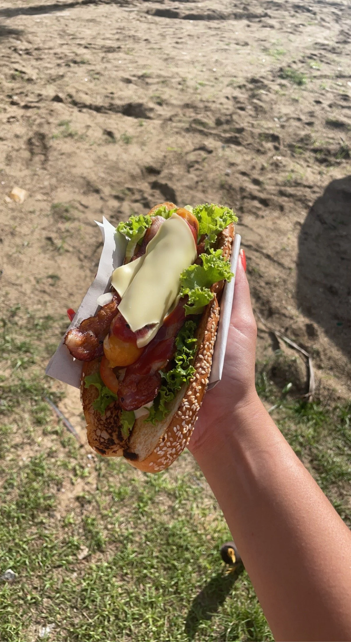 i asked for a chili cheese dog.jpeg