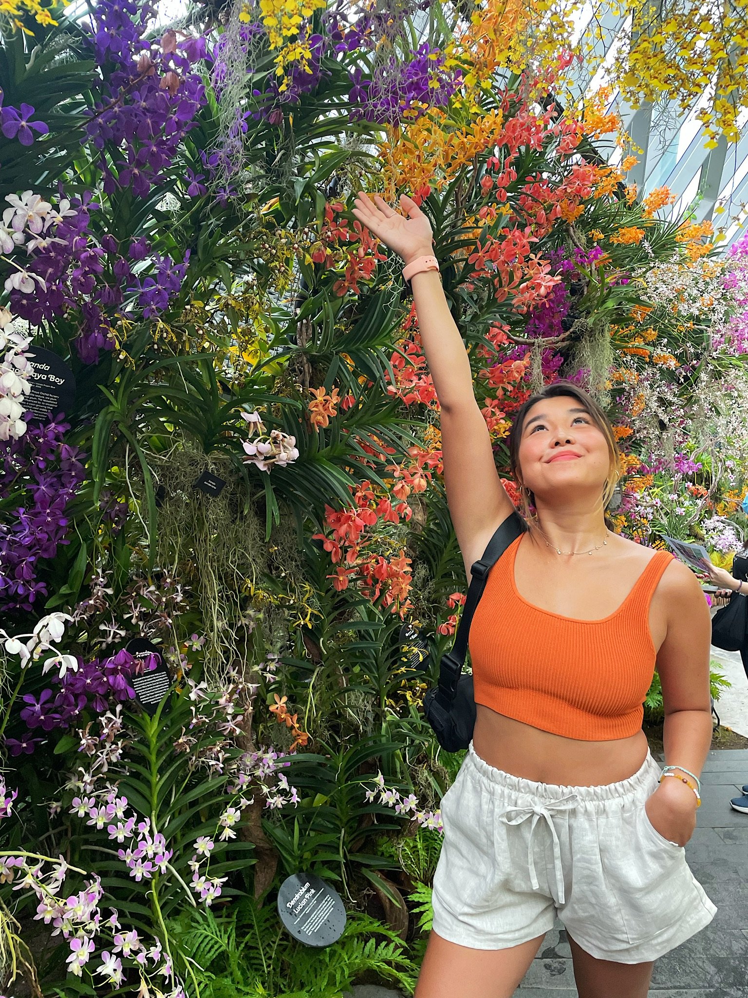 I love orchids (take notes Taylor).