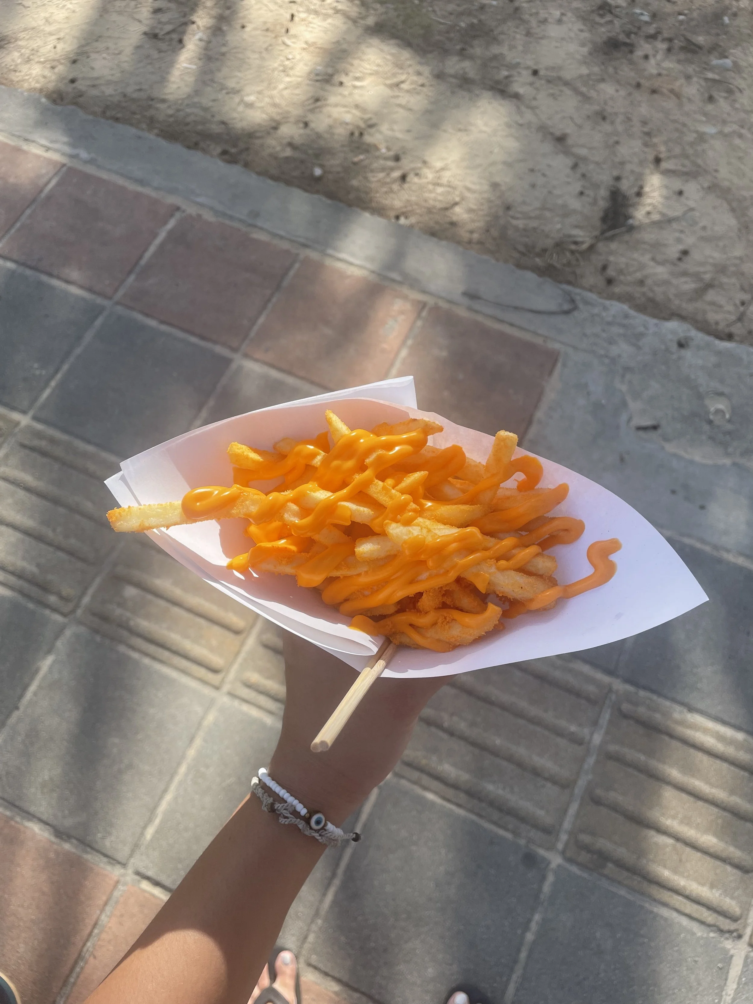 nasty fries.jpeg
