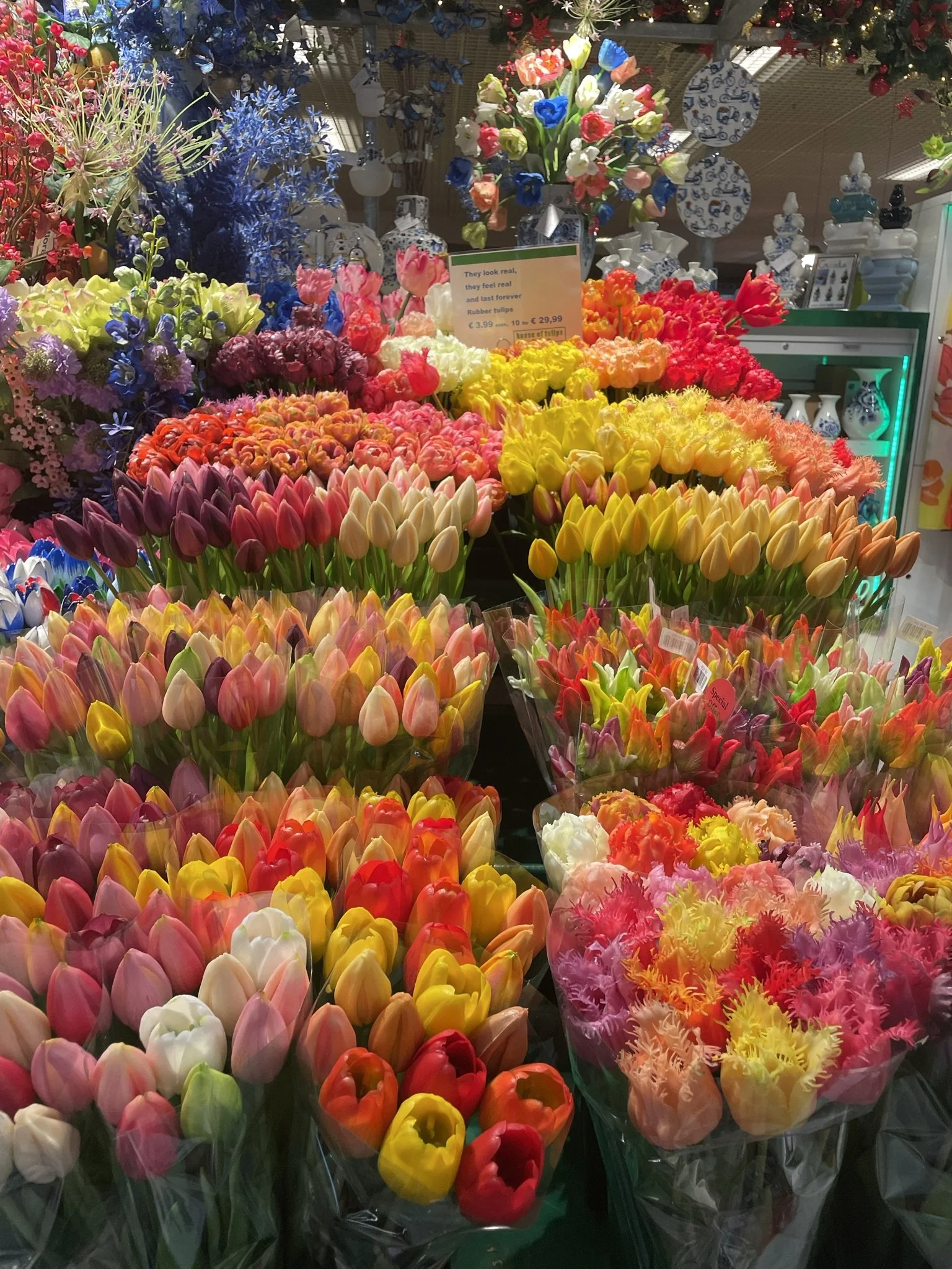 rubber tulips from Amsterdam.jpeg