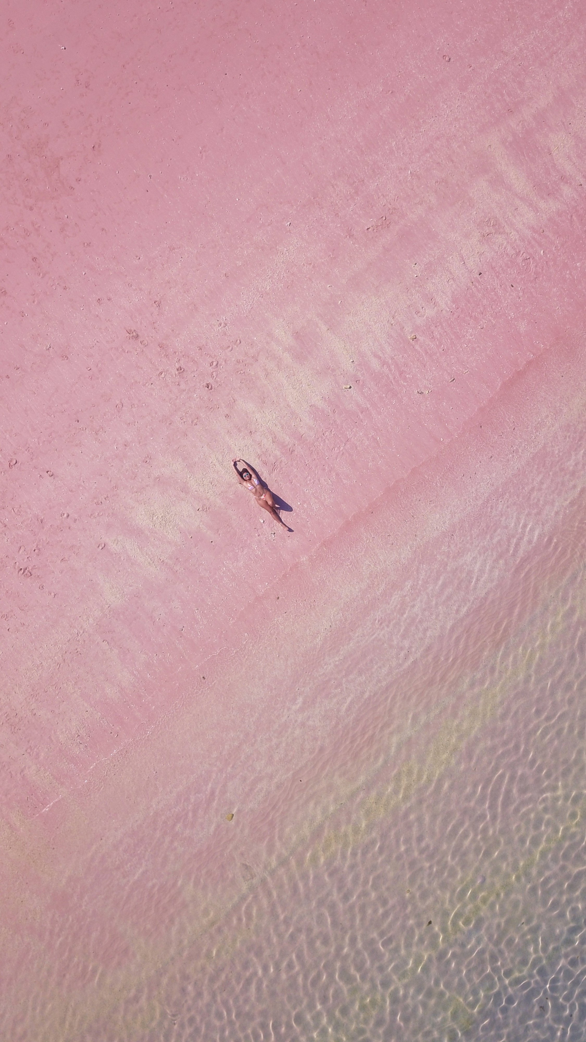 Fact: Pink is my favorite color.