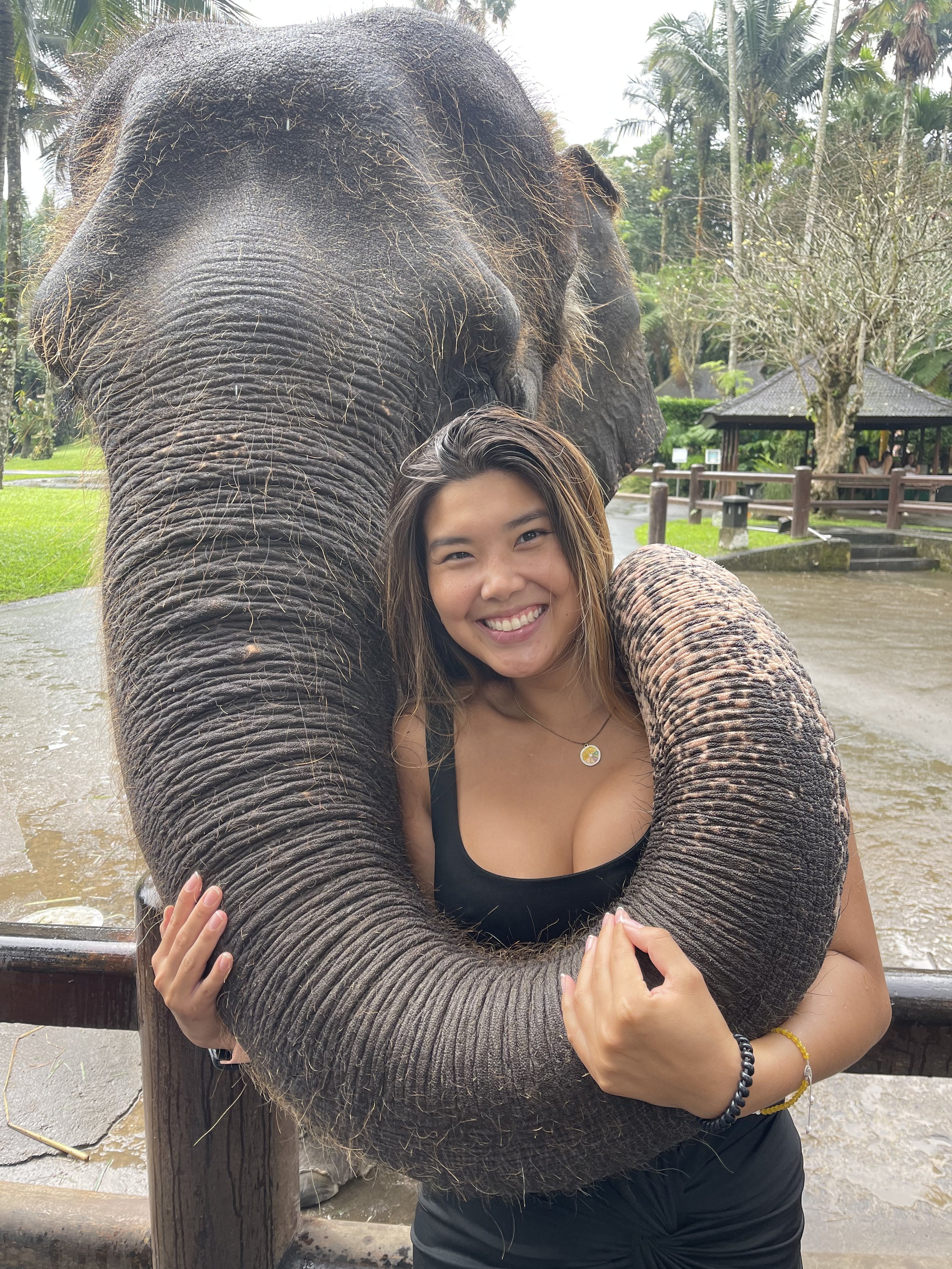 elephant hugs