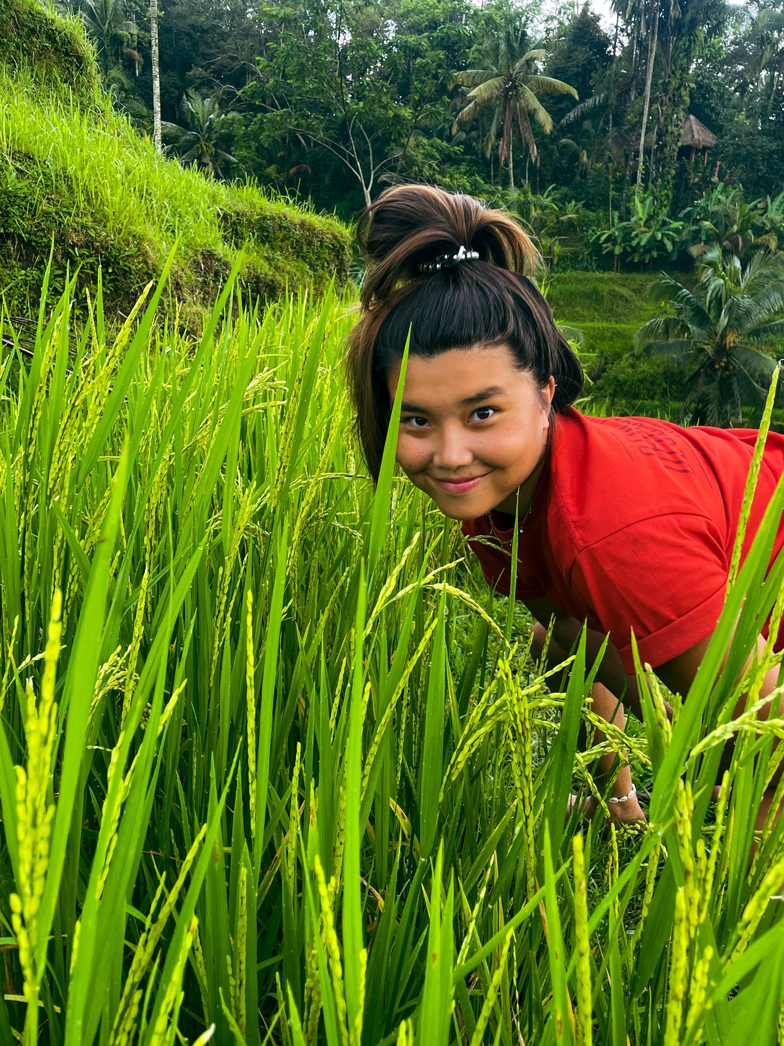 frolicking in the rice fields