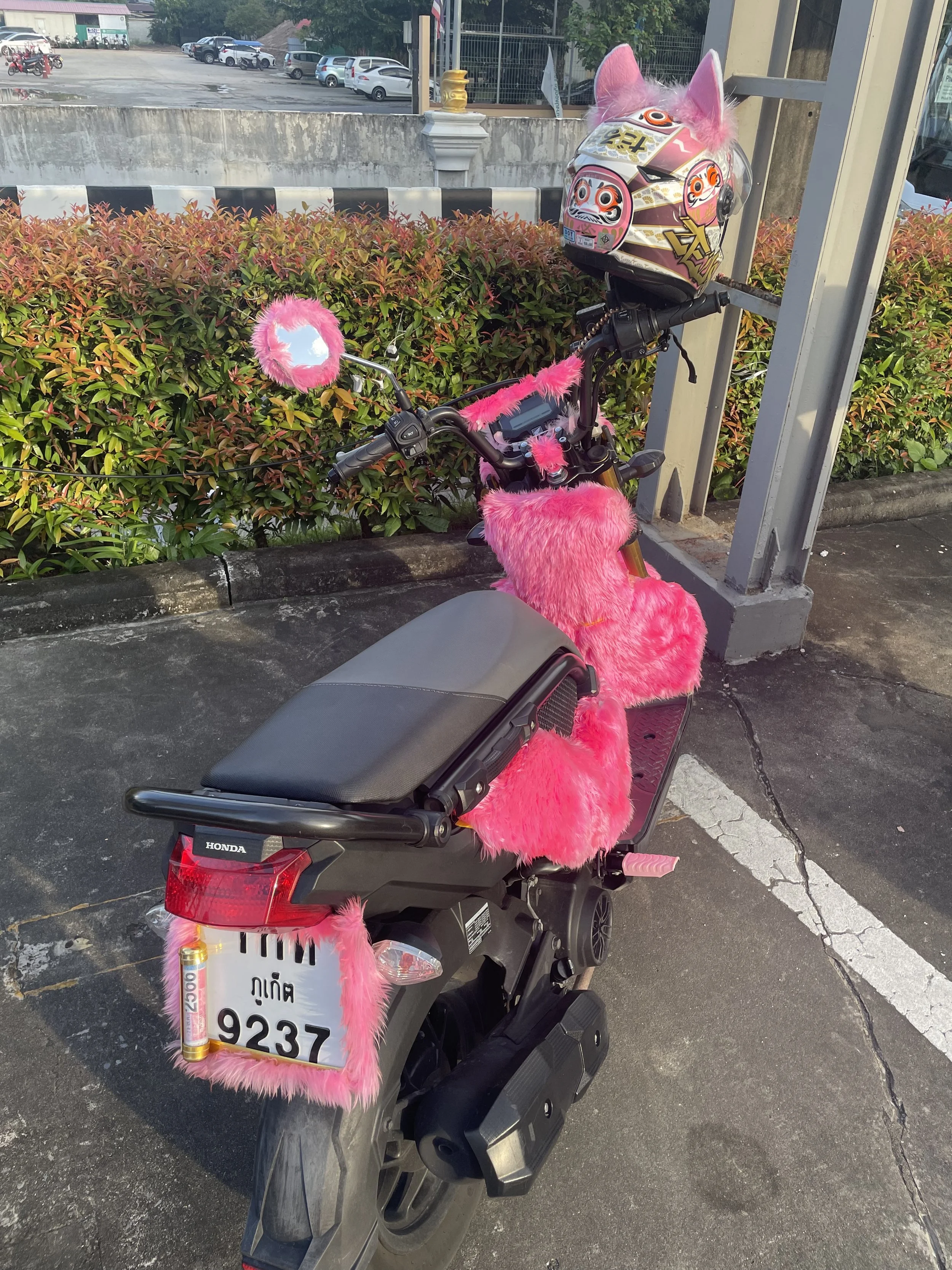 pink and fury moped.jpeg