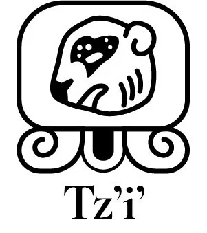 1 Tz'i