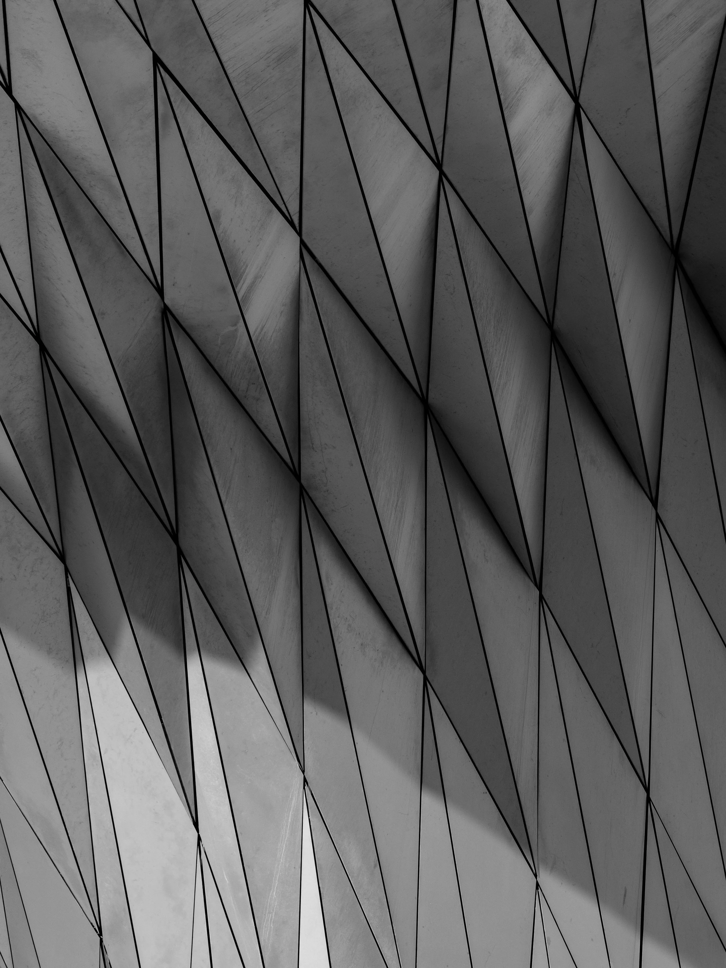 Grayscale image of Architectural framework