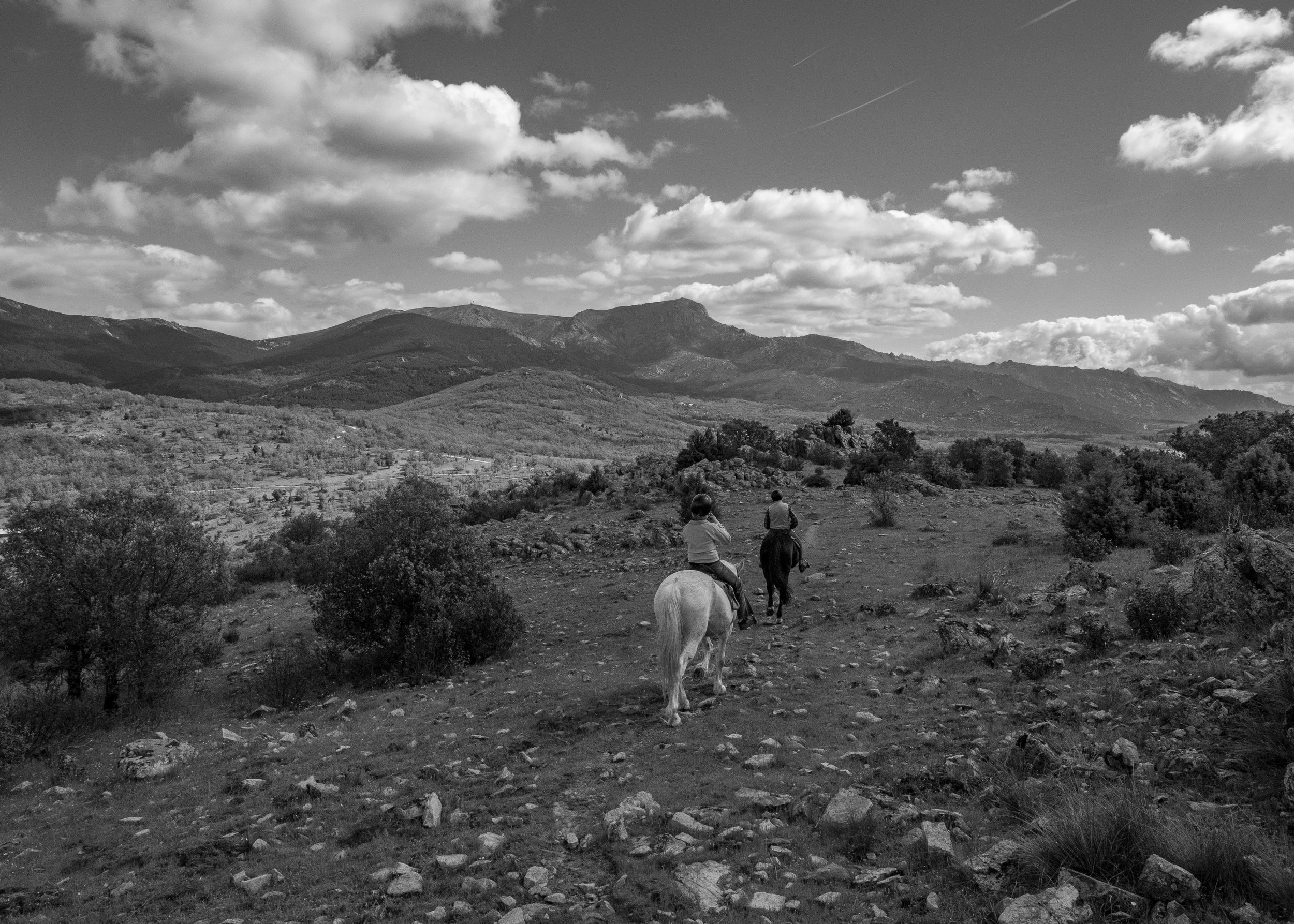 Spain 2026 b_w_qe_20.png