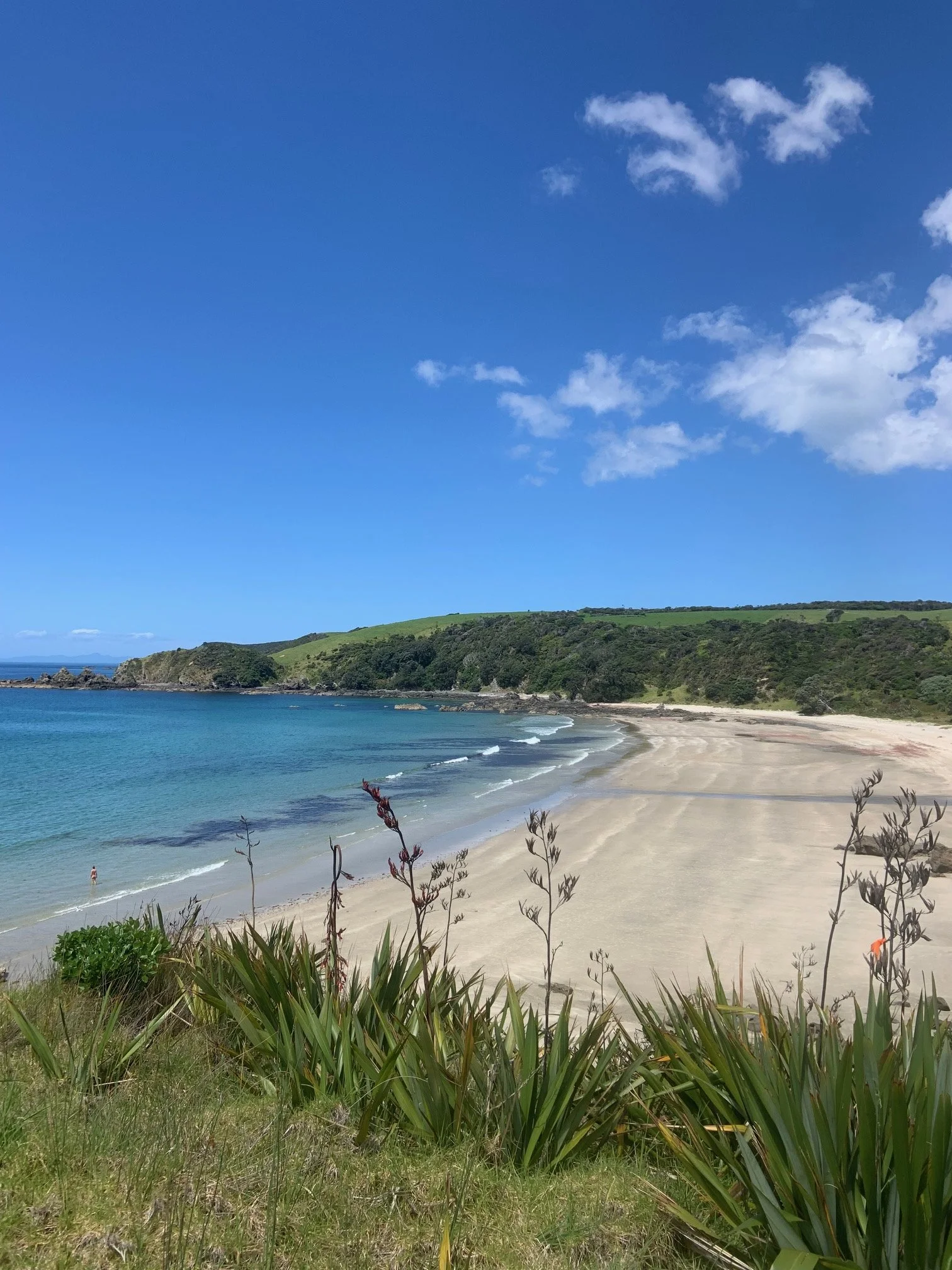 Jasana Adventure Hike & Yoga