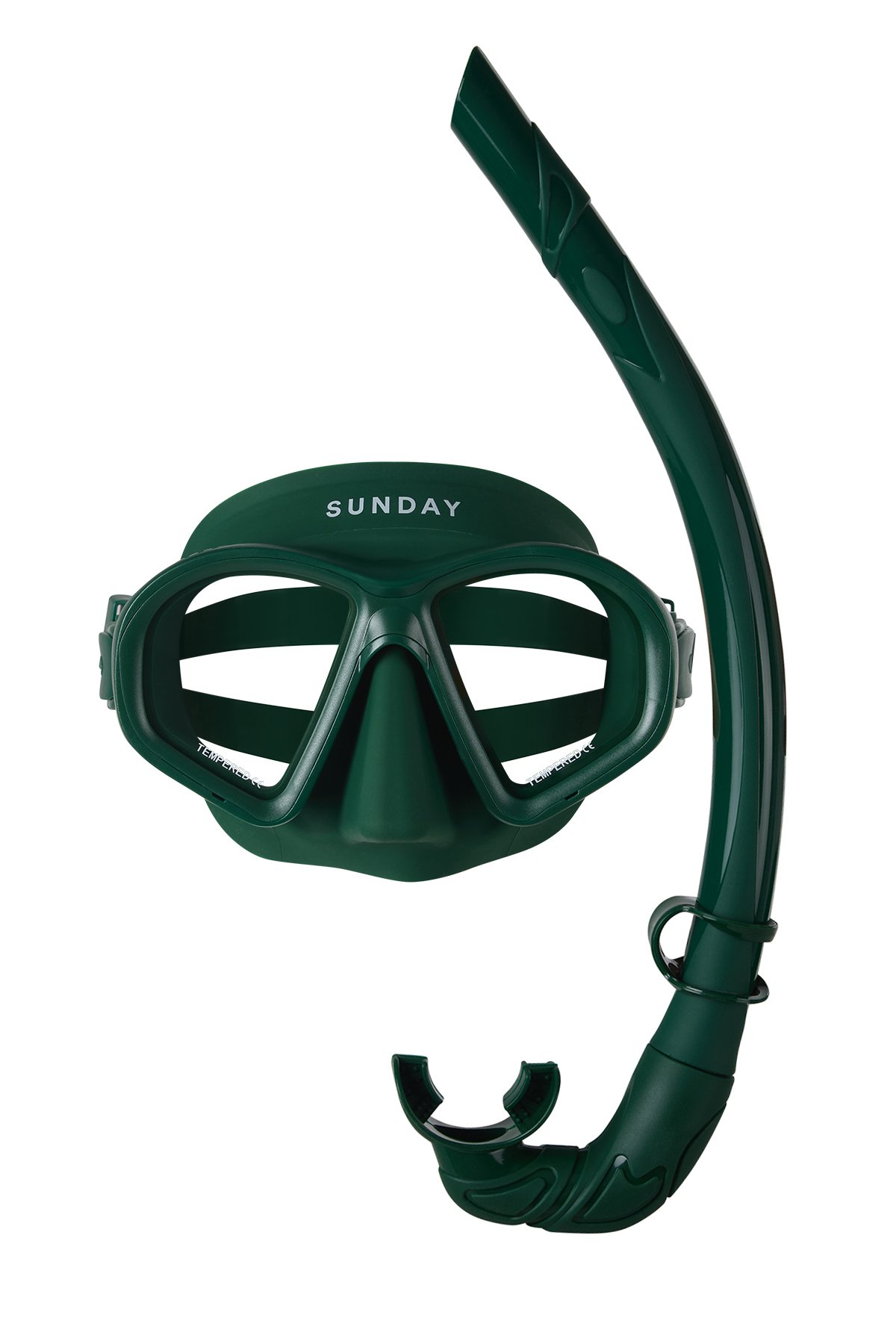 SS Snorkel Jan 26 2.jpg