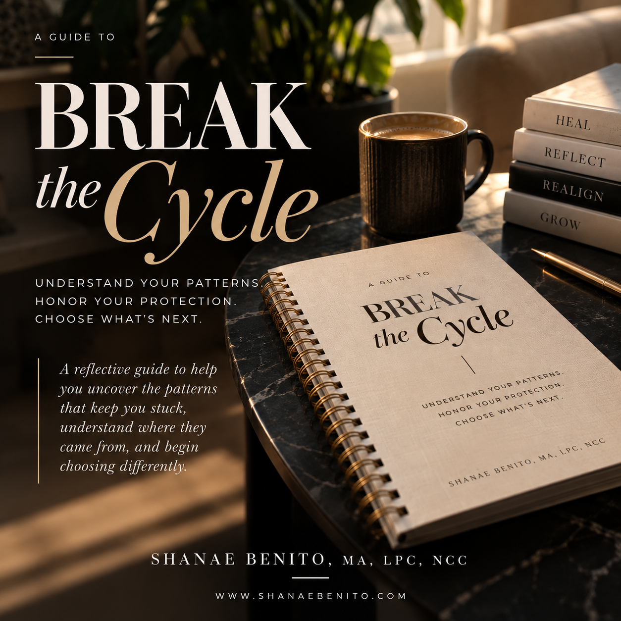Break The Cycle